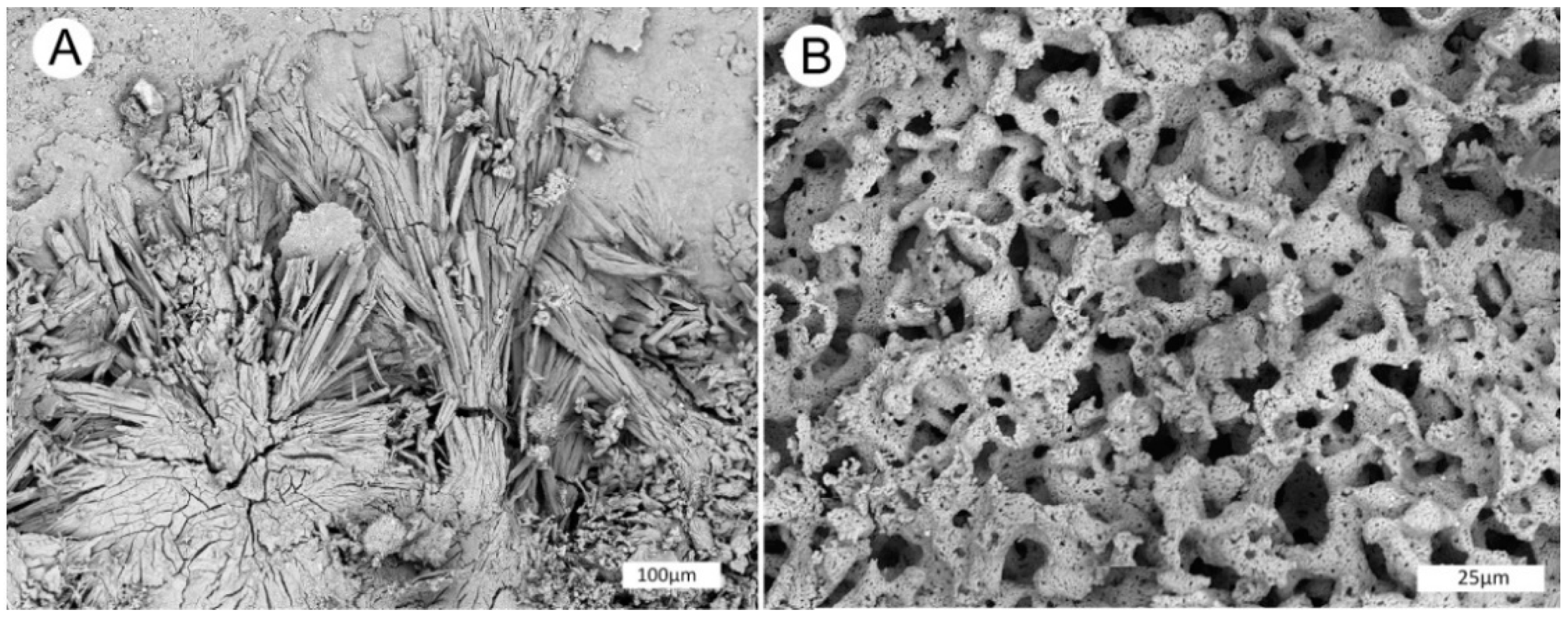 Geosciences 10 00133 g014