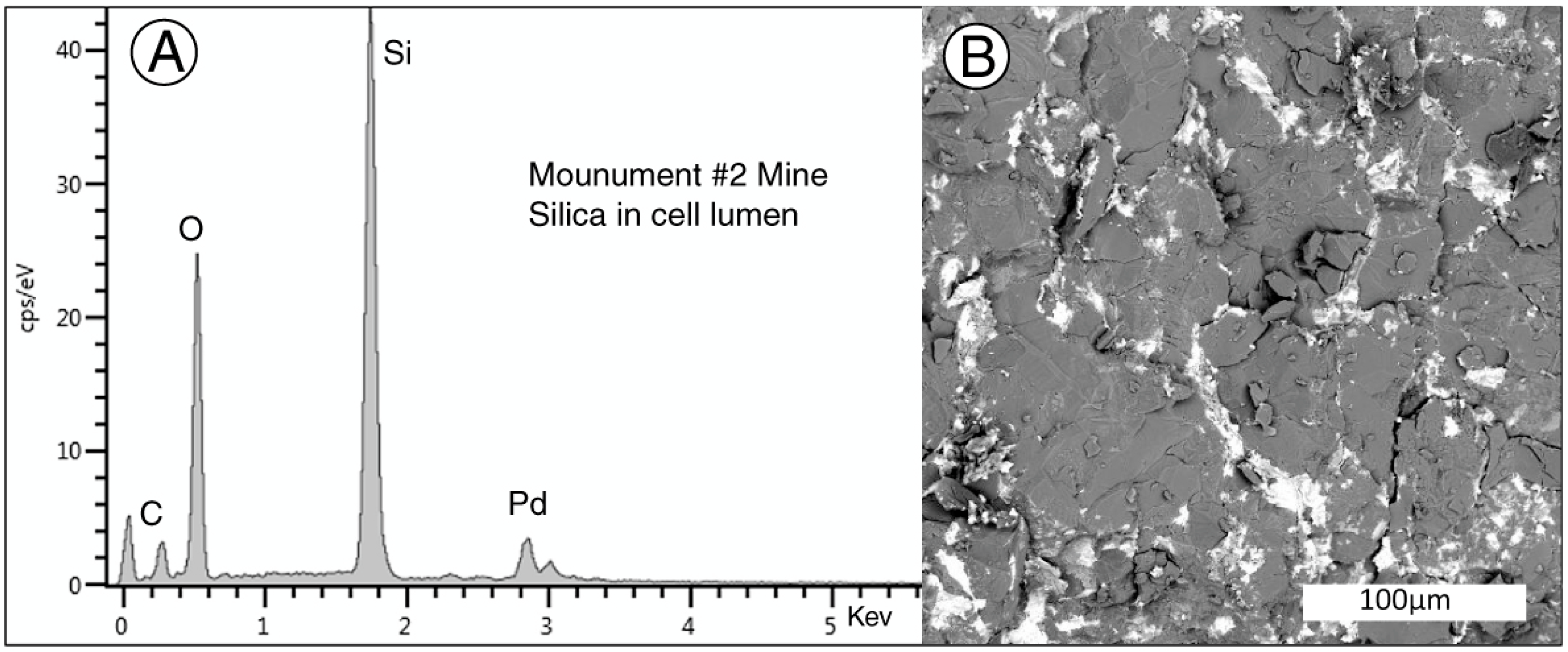 Geosciences 10 00133 g024