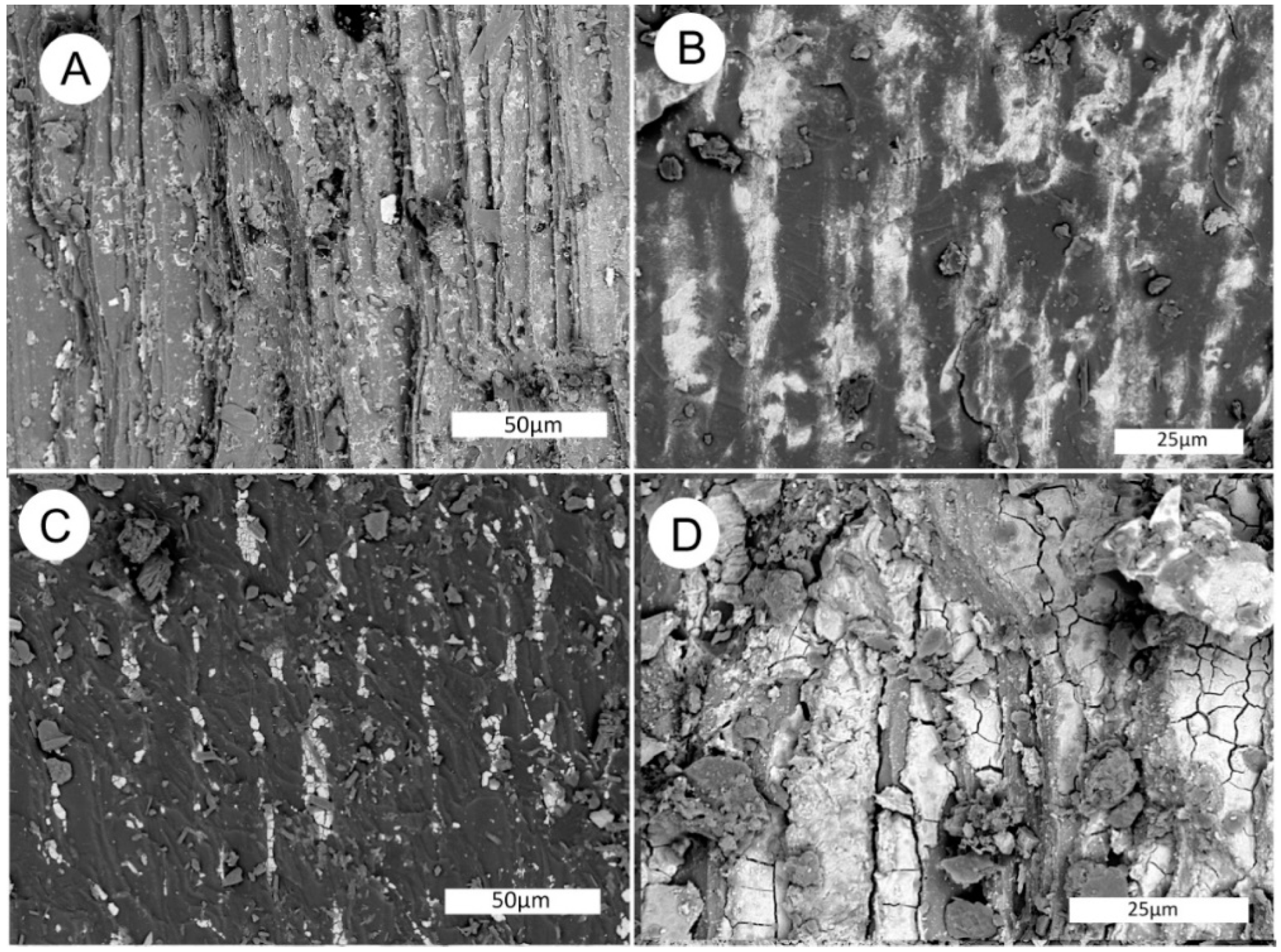 Geosciences 10 00133 g026a