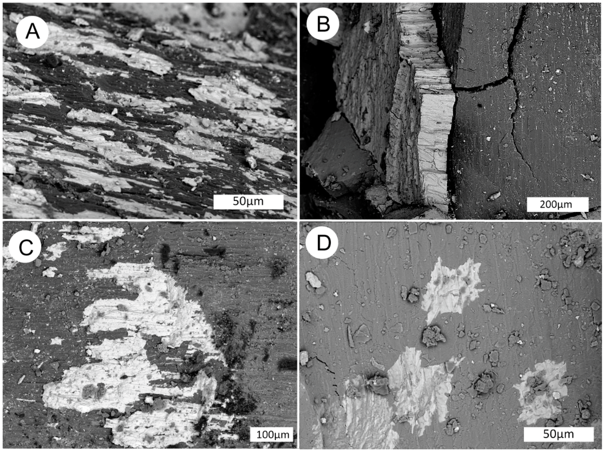 Geosciences 10 00133 g028
