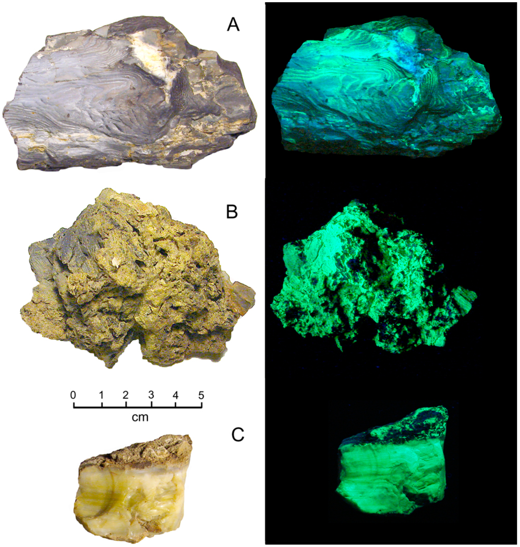 Geosciences 10 00133 g029