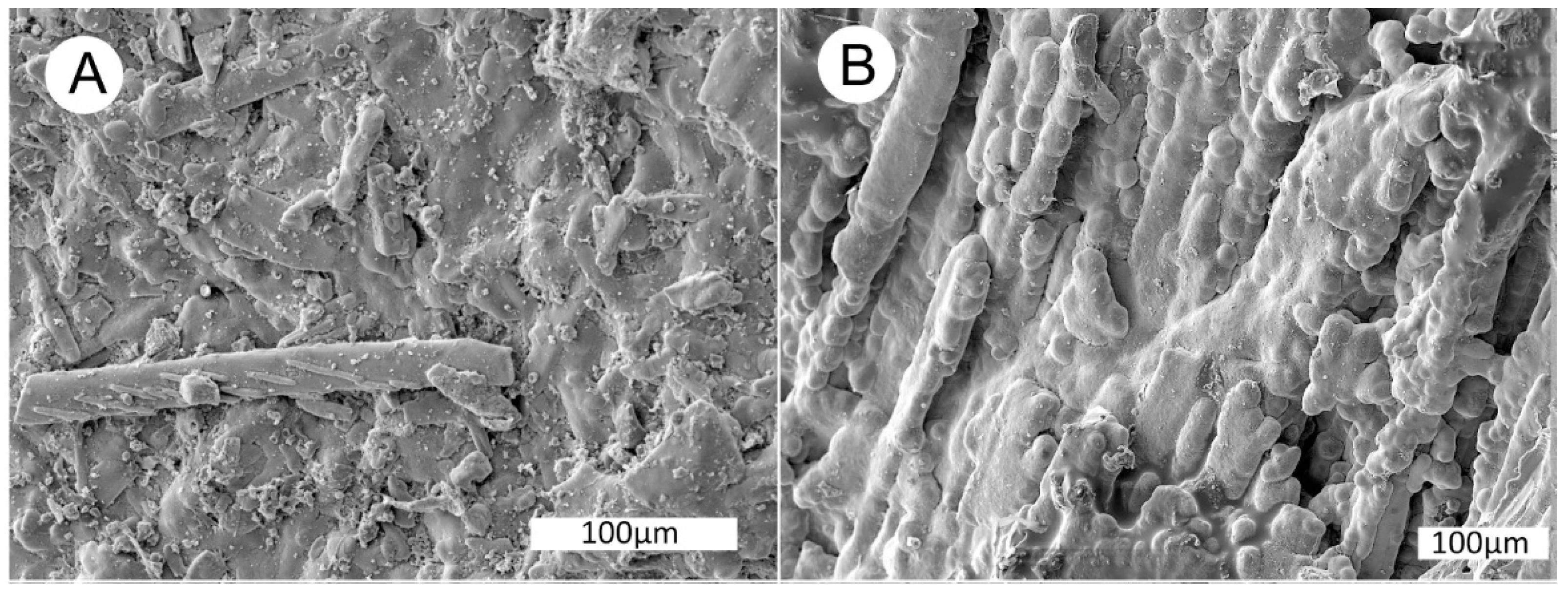 Geosciences 10 00133 g031a