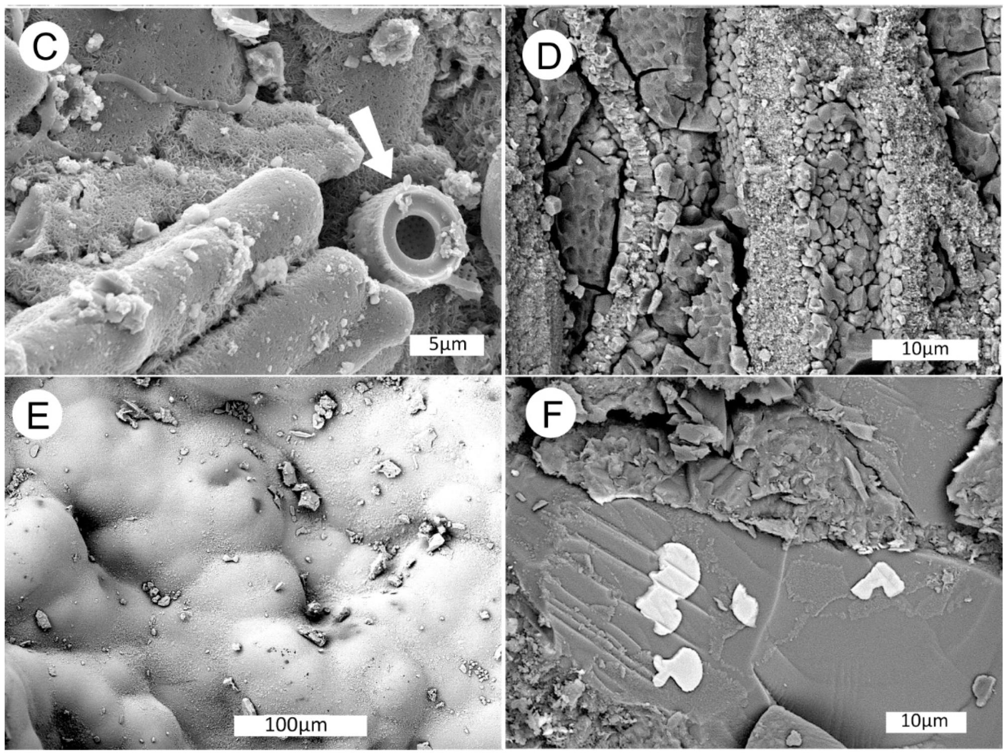 Geosciences 10 00133 g031b