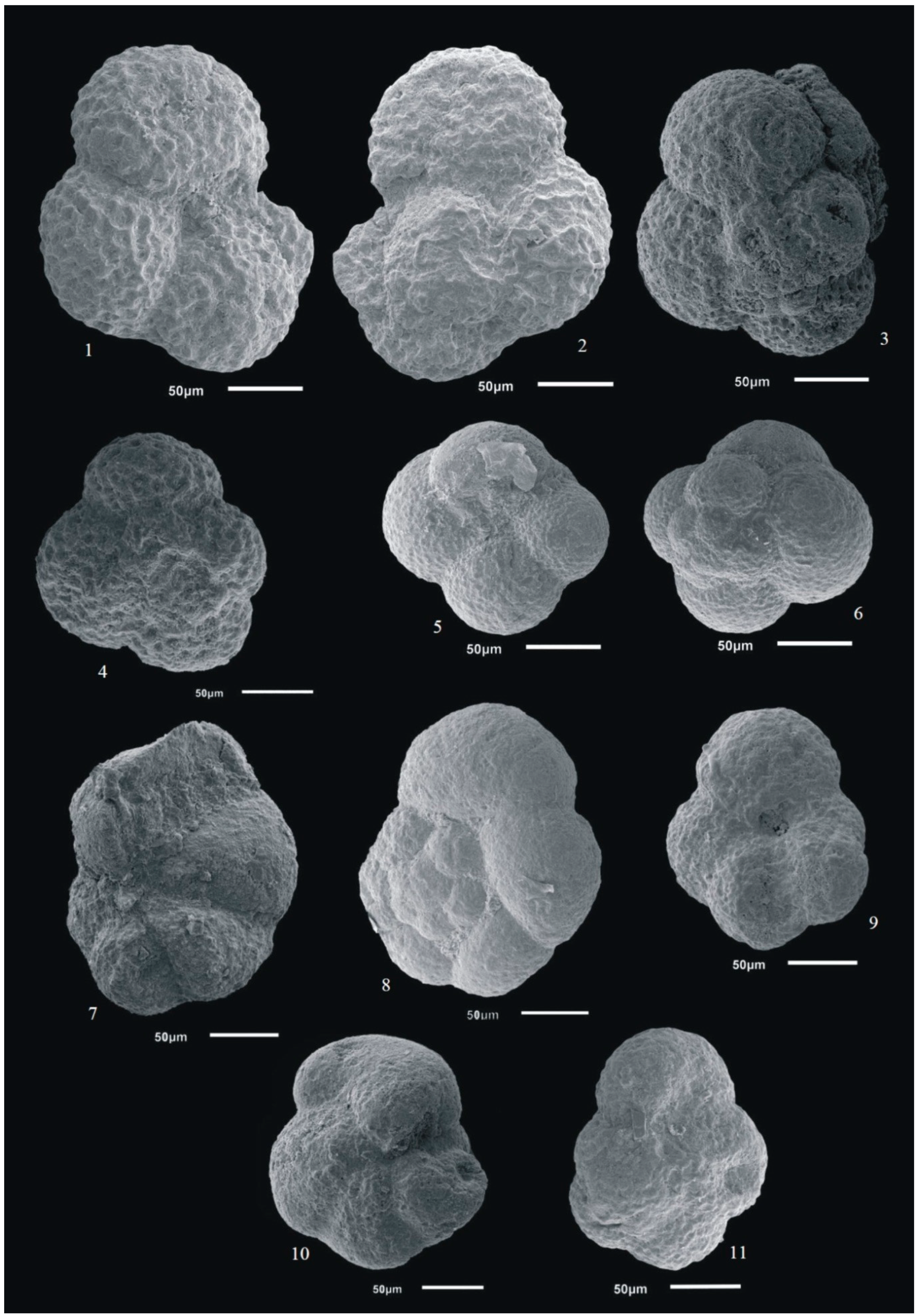 Geosciences 10 00158 g003