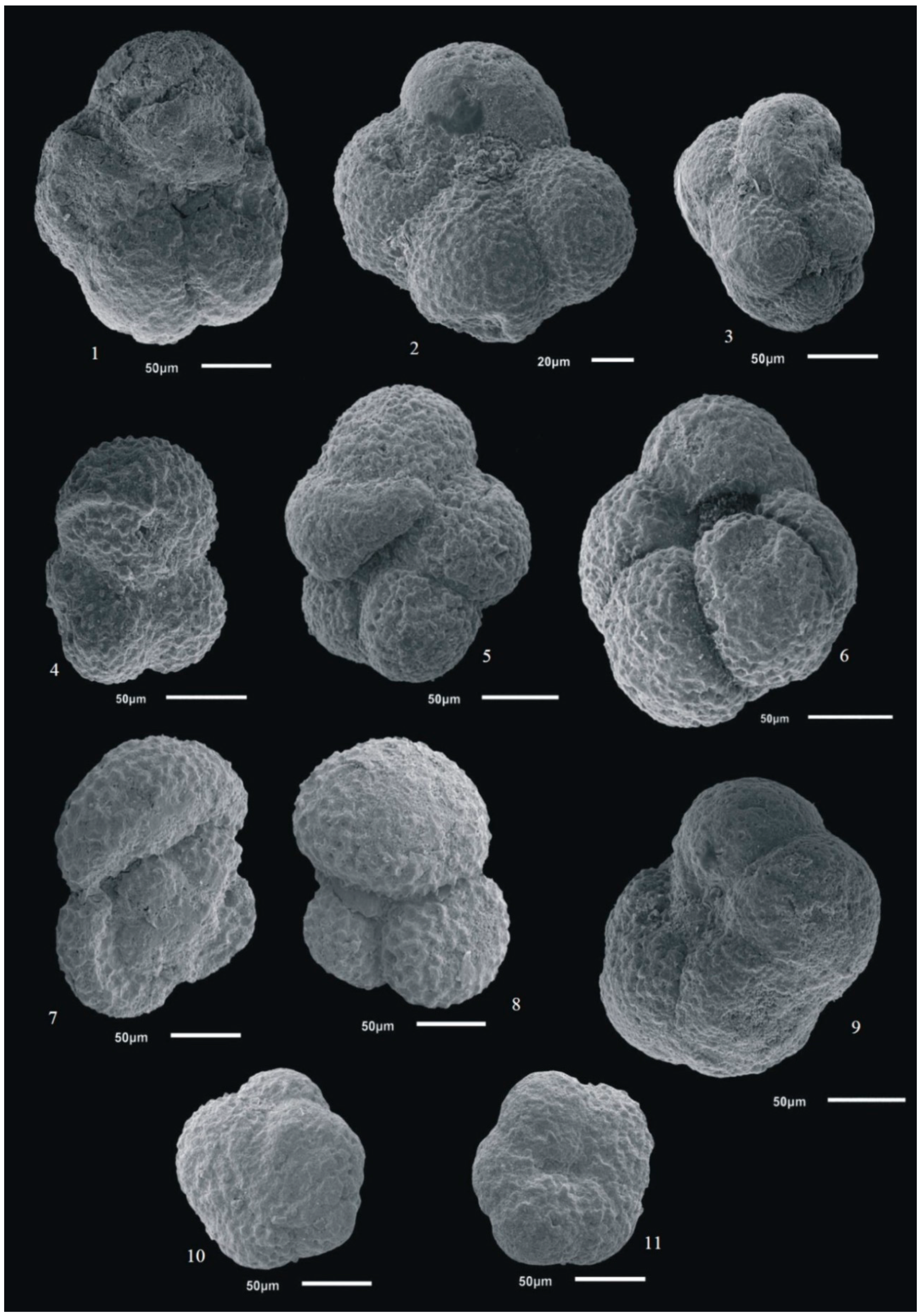 Geosciences 10 00158 g004