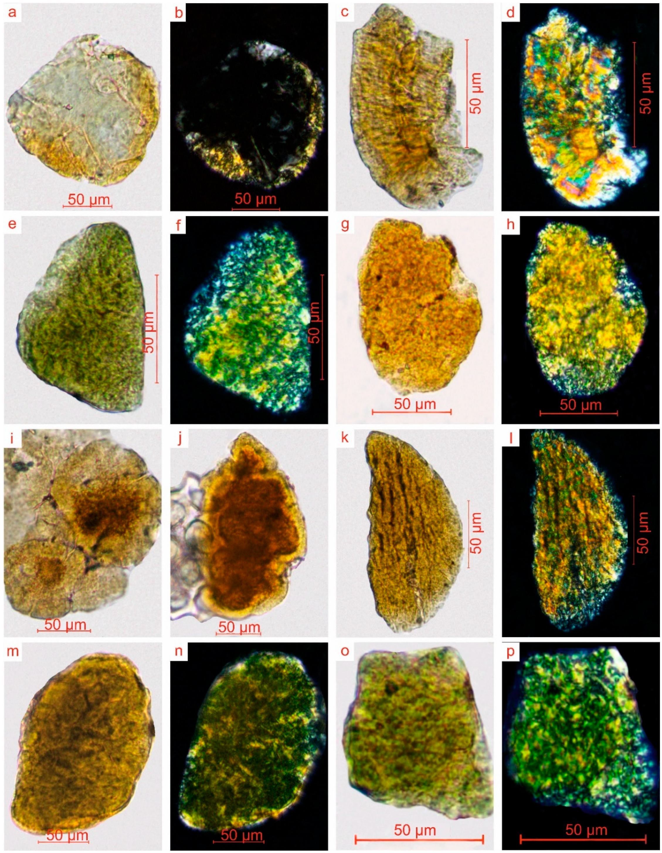 Geosciences 10 00162 g004 Geosciences 10 00162 g004