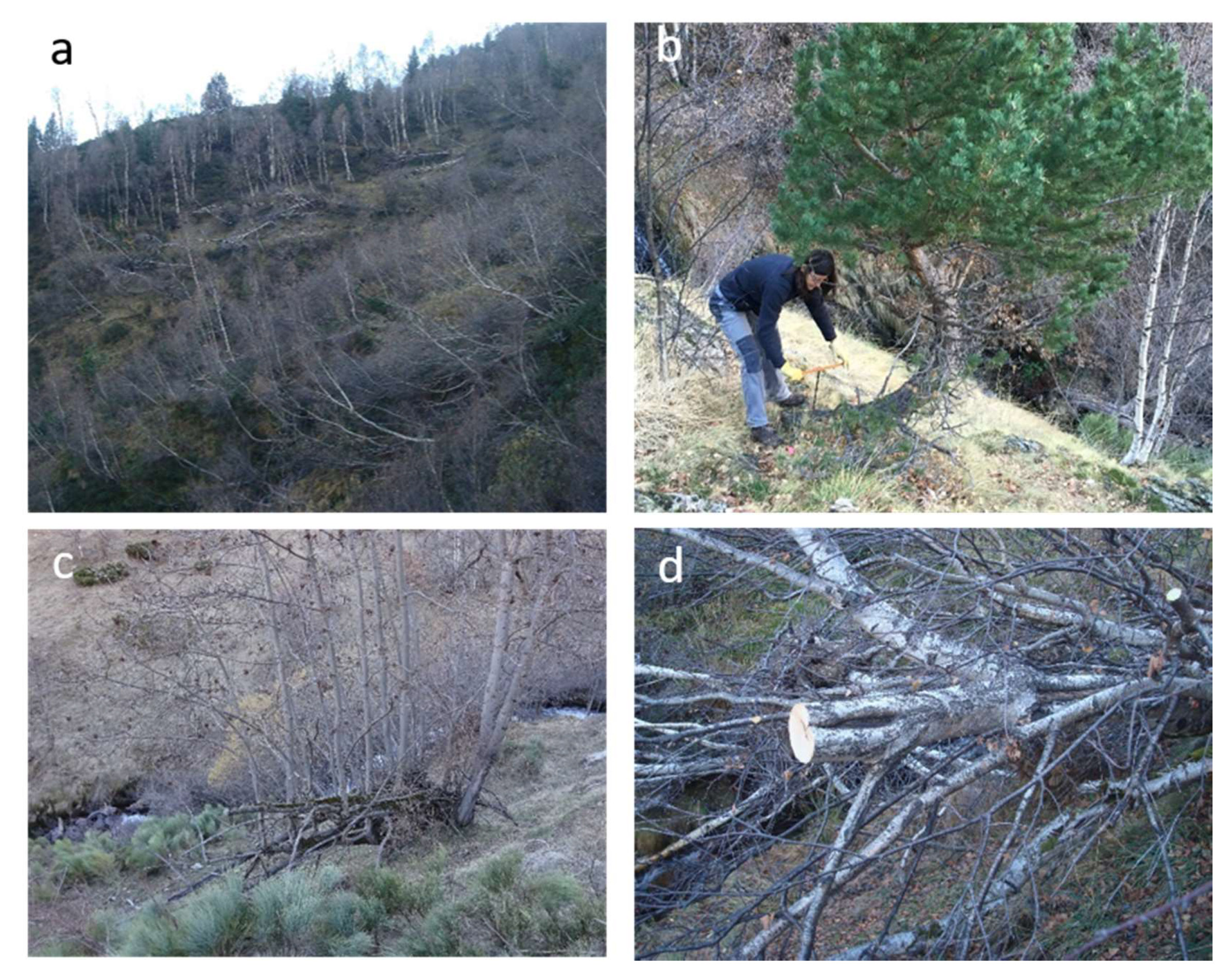 Geosciences 10 00169 g004