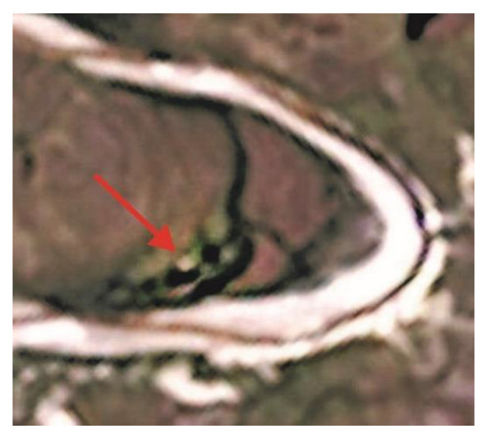 Nauki o Ziemi 10 00170 g015 550