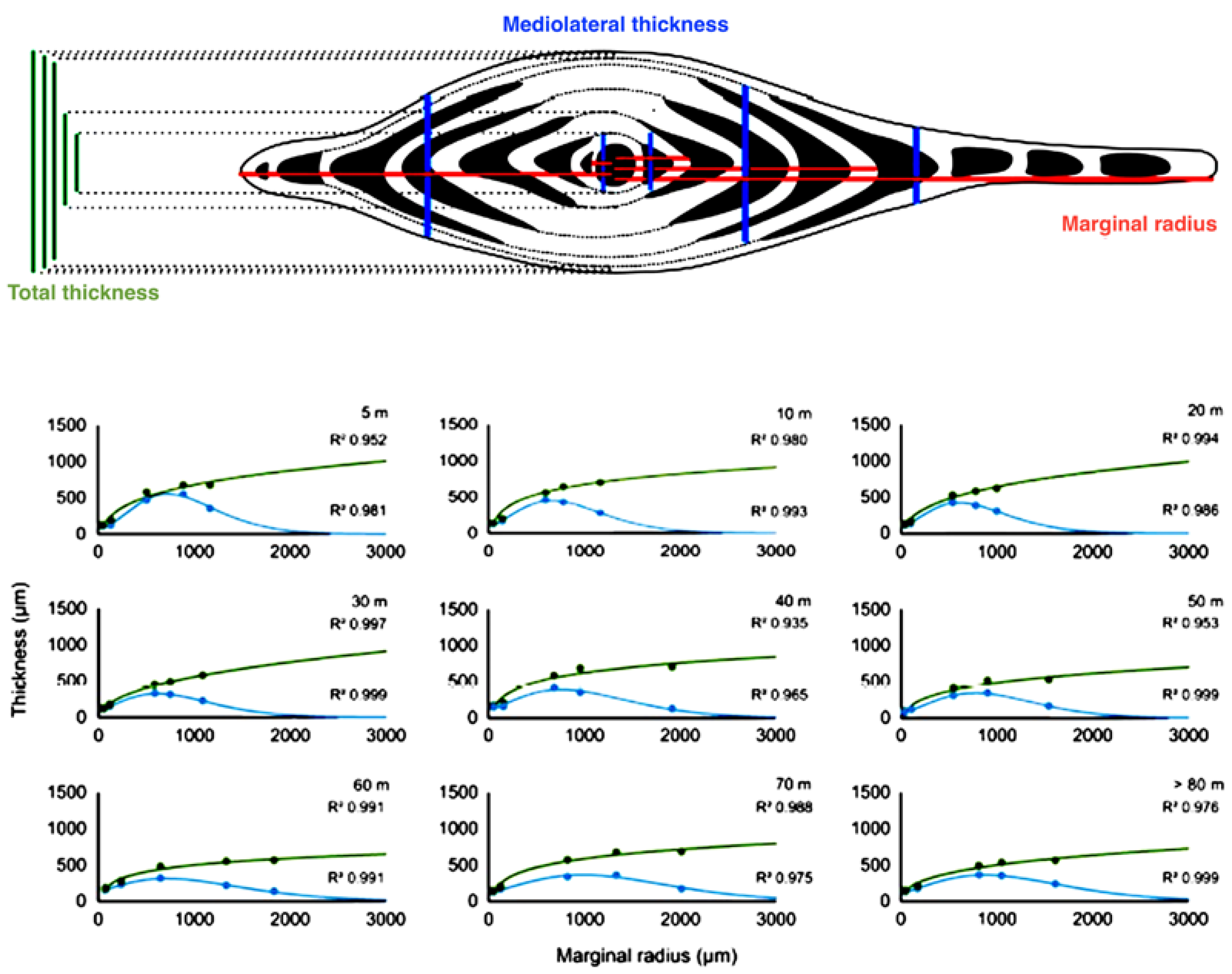 Geosciences 10 00188 g007