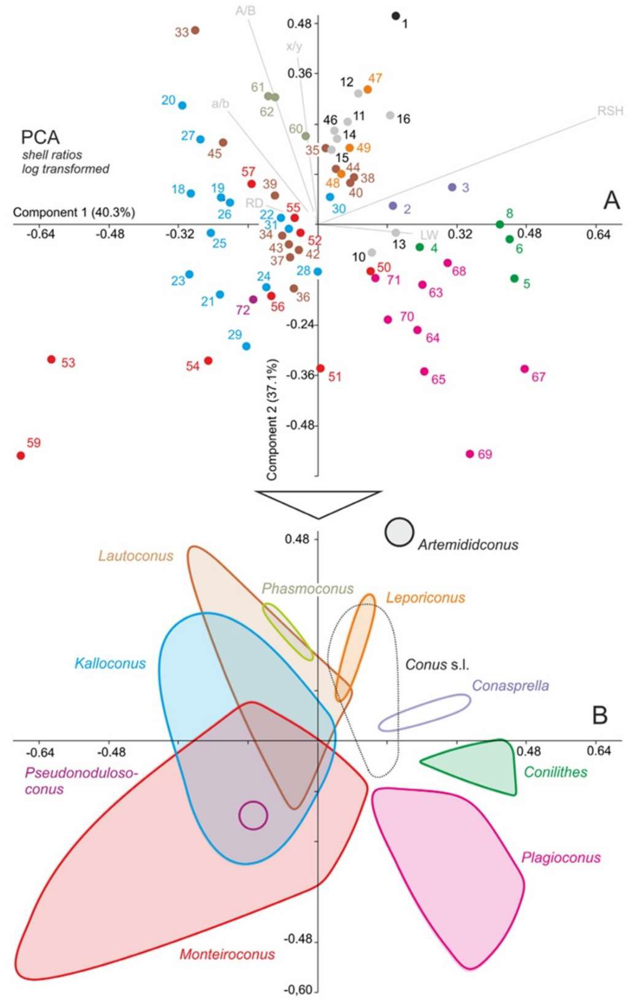 Geosciences 10 00188 g008