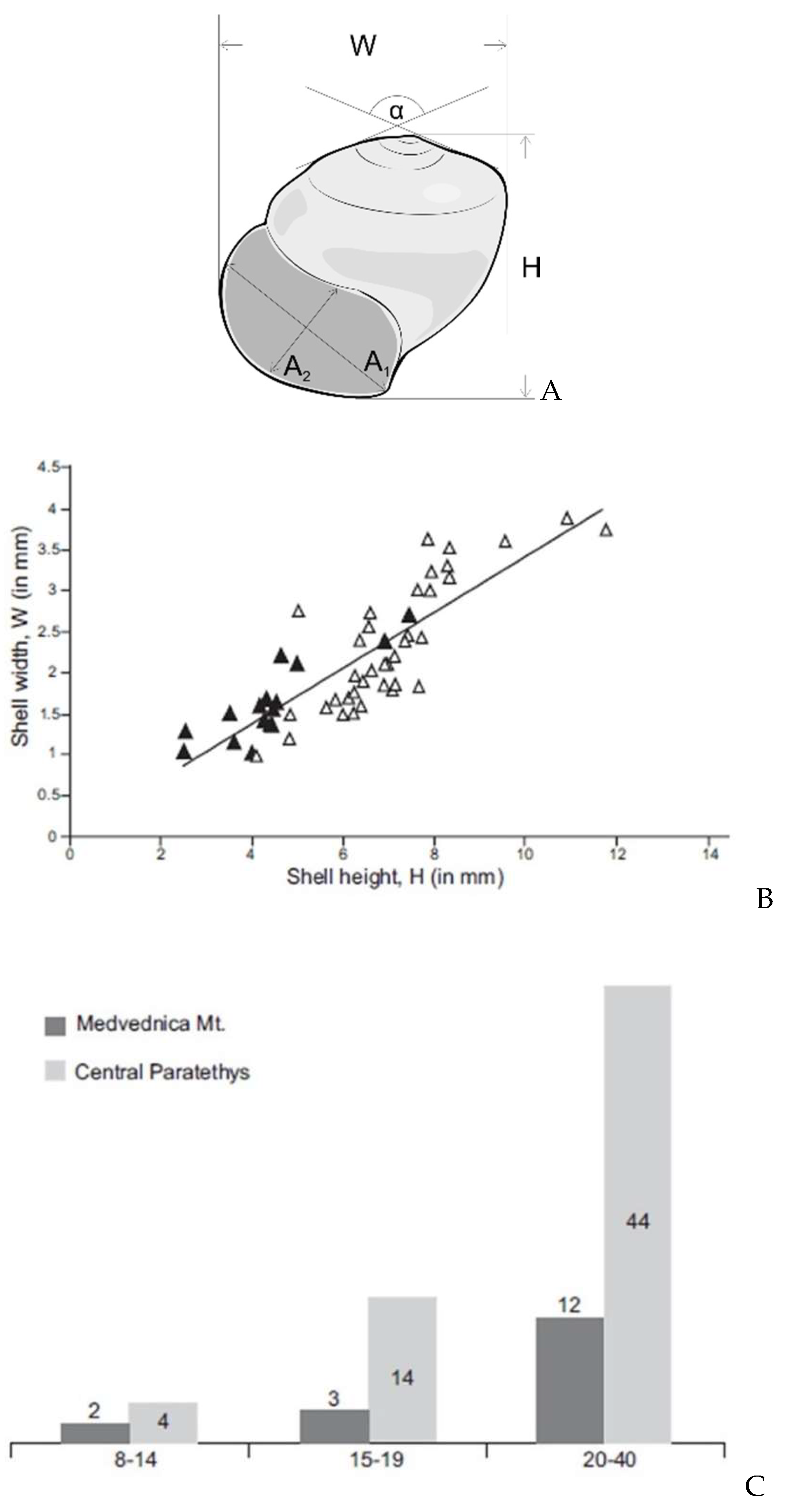 Geosciences 10 00188 g009