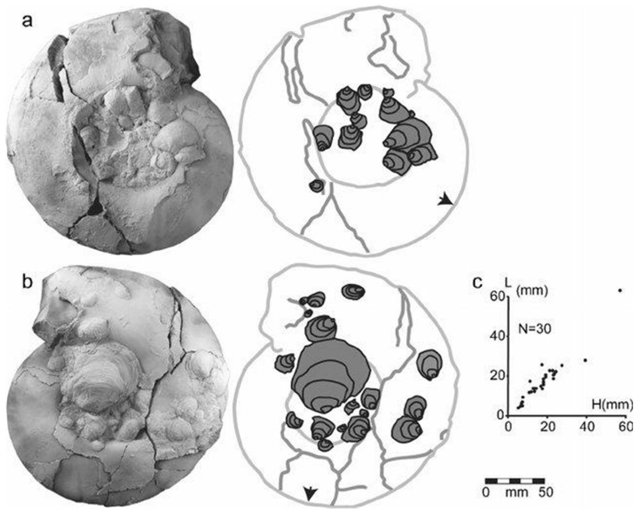 Geosciences 10 00188 g010