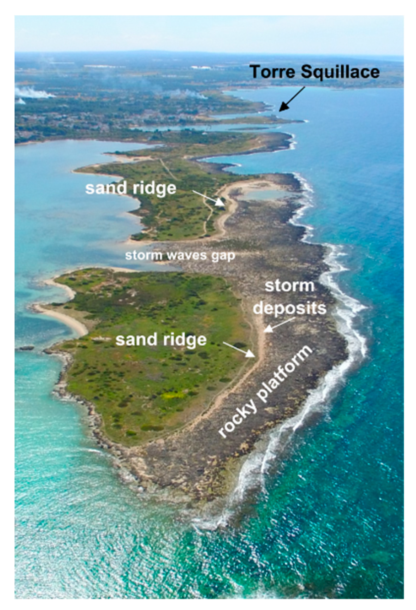 Geosciences Free Full Text Sand Ridges On Rocky Coastal Platforms As Markers Of Tsunami Impact A Multi Disciplinary Analysis Along The Ionian Coast Of Southern Apulia Italy Html