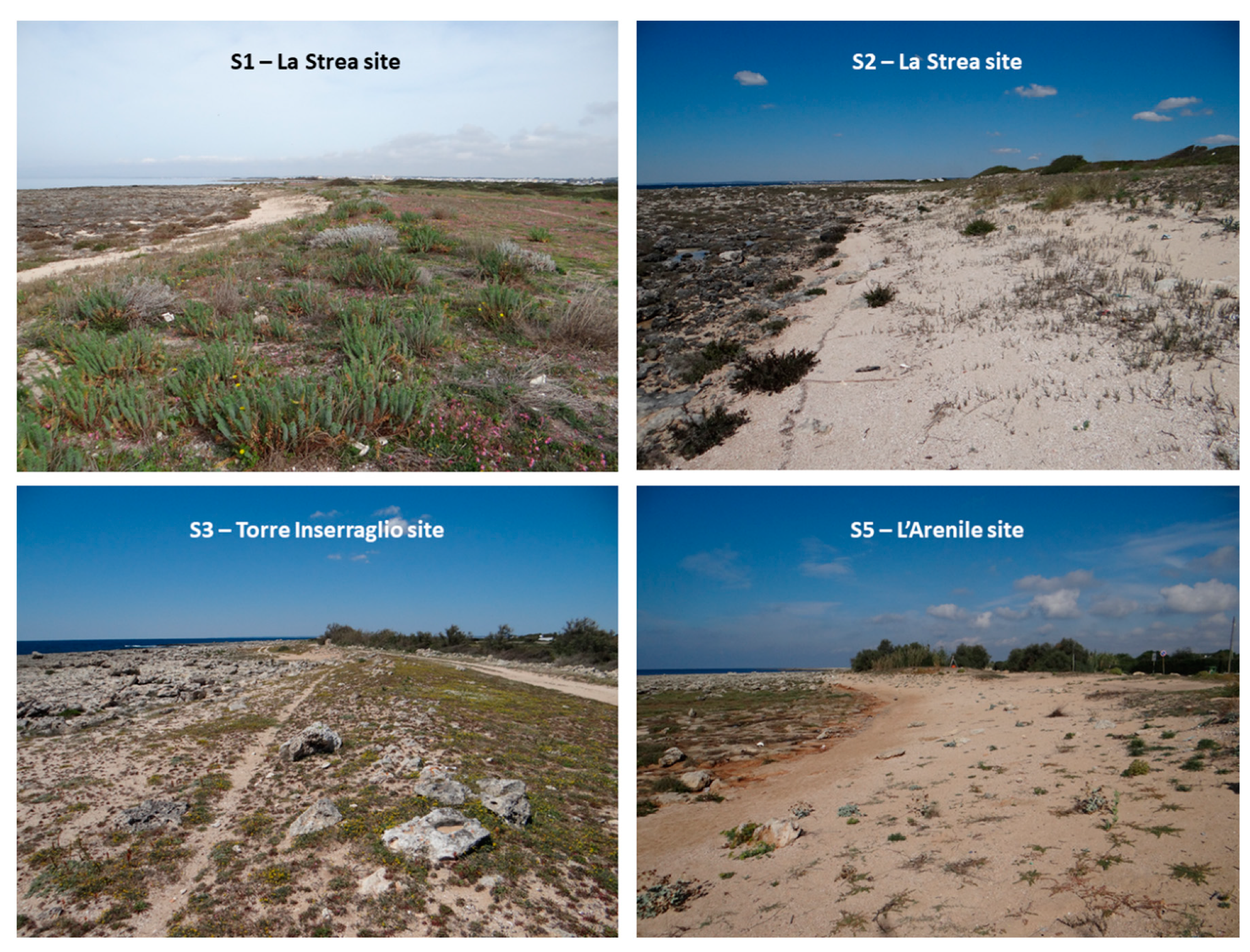 Geosciences 10 00204 g008 Geosciences 10 00204 g008