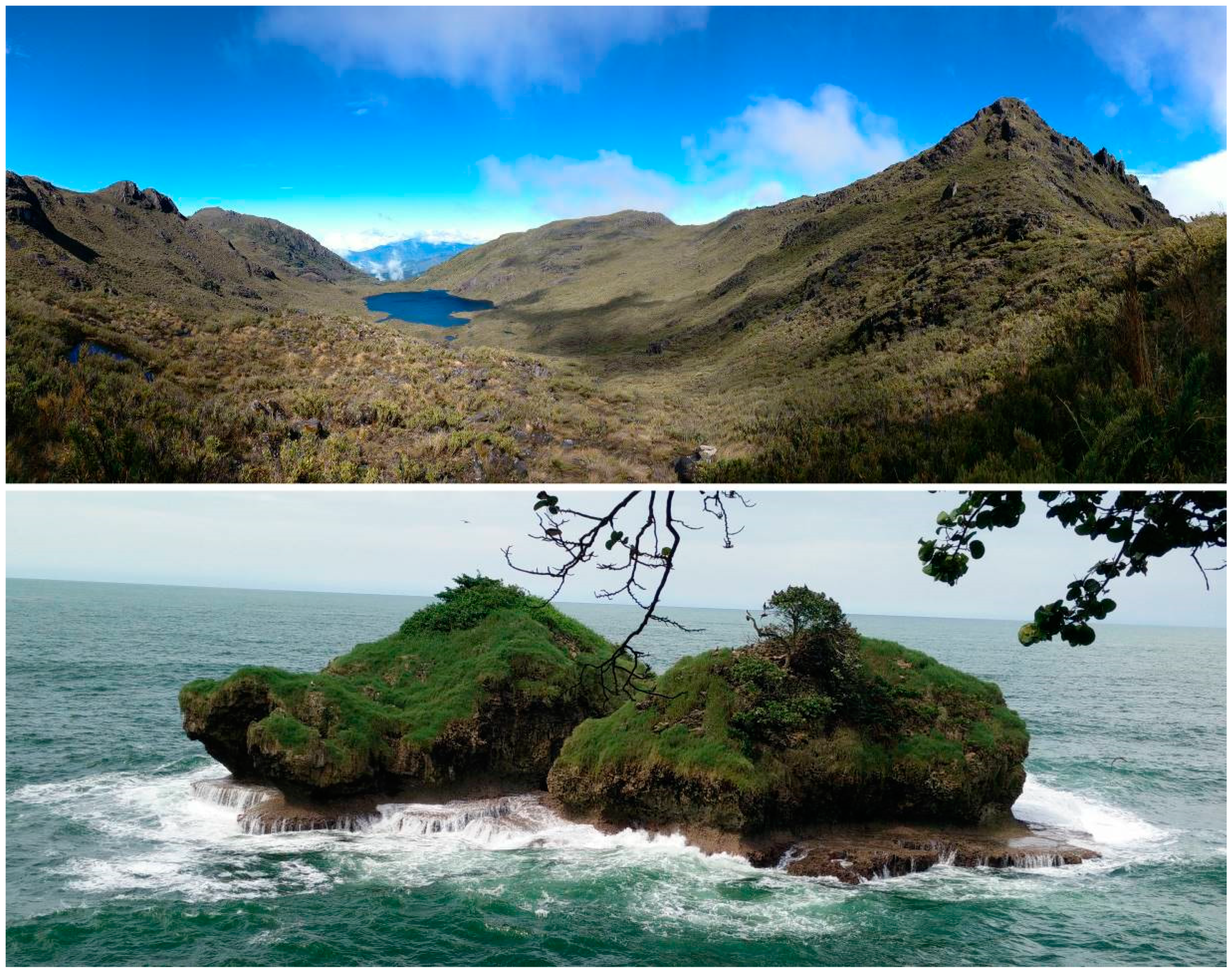 Geosciences 10 00211 g008 Geosciences 10 00211 g008