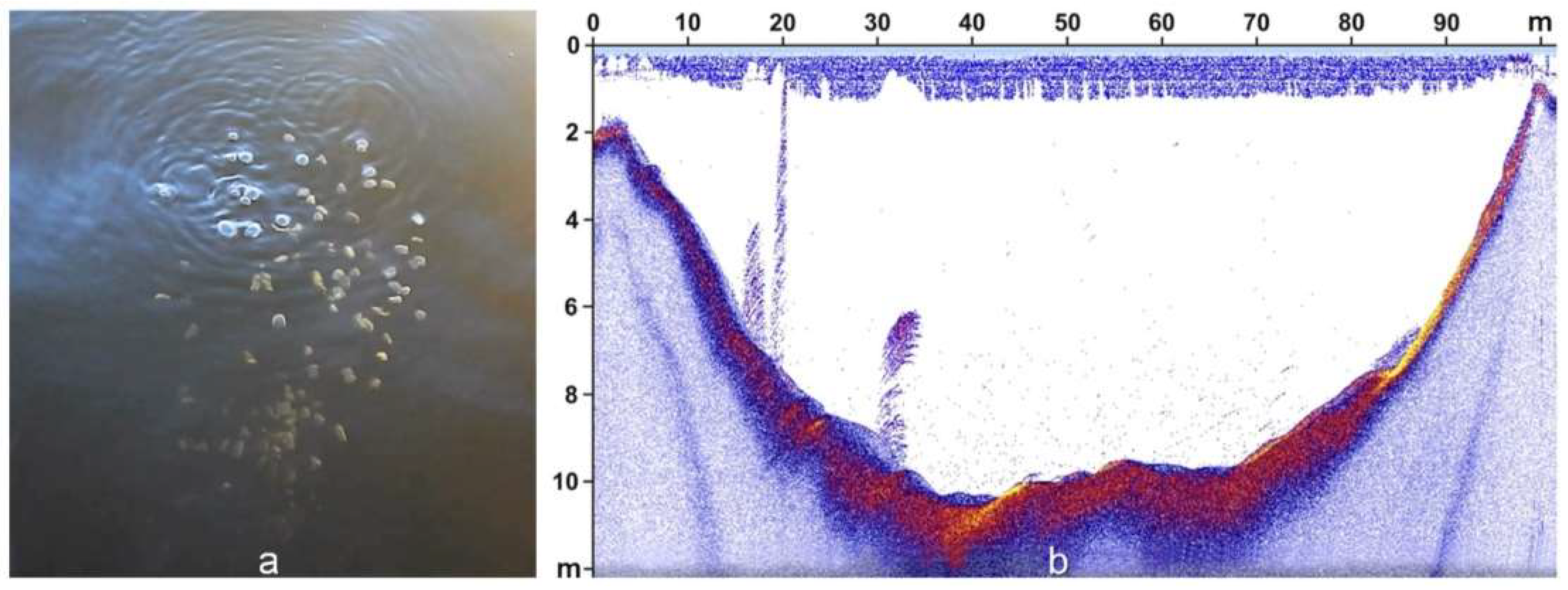 Geosciences 10 00215 g006