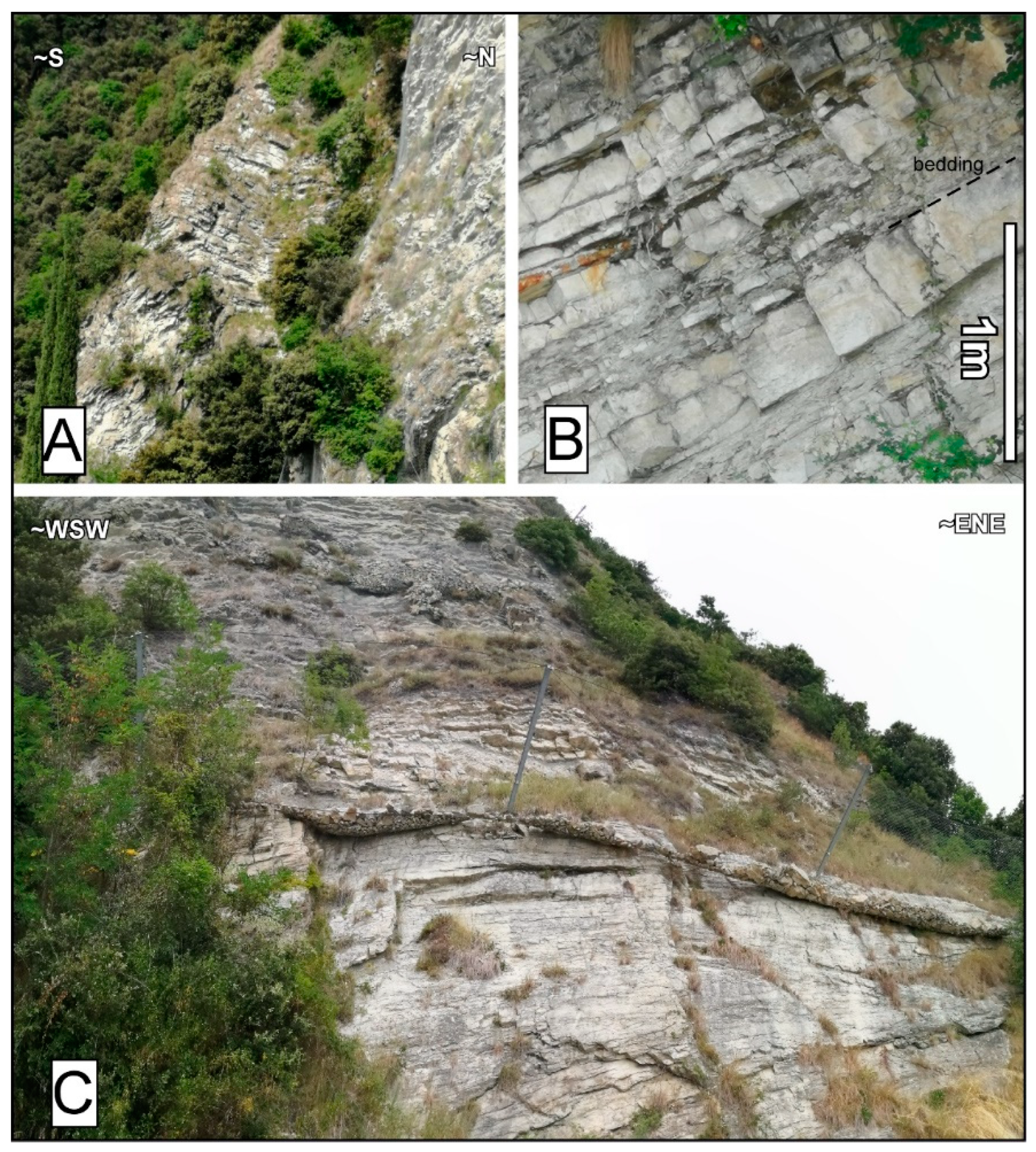 Geosciences 10 00223 g002