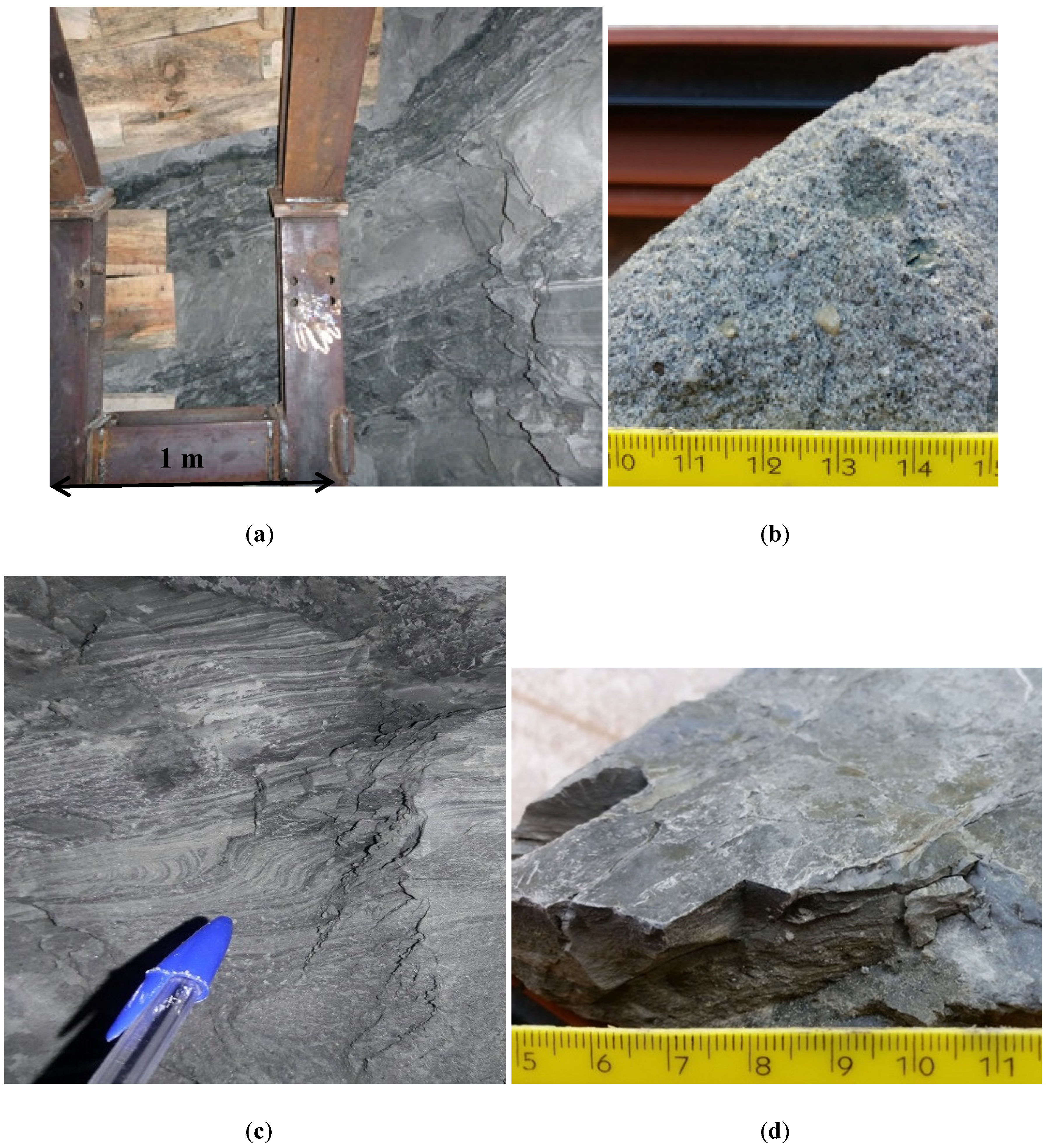 Geosciences 10 00247 g005