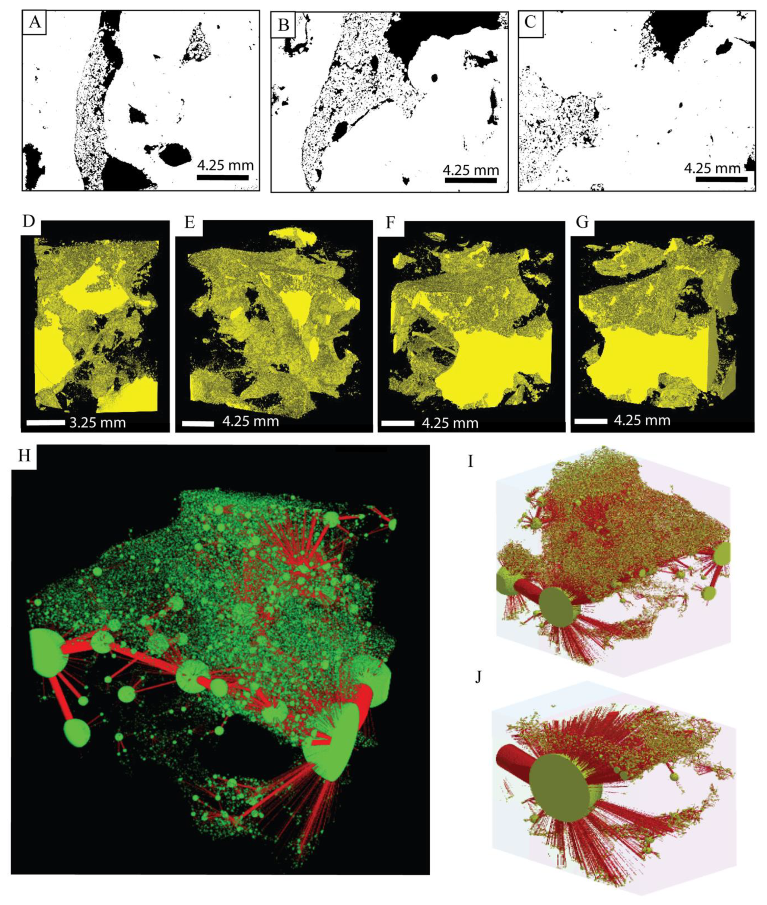 Geosciences 10 00255 g008 Geosciences 10 00255 g008