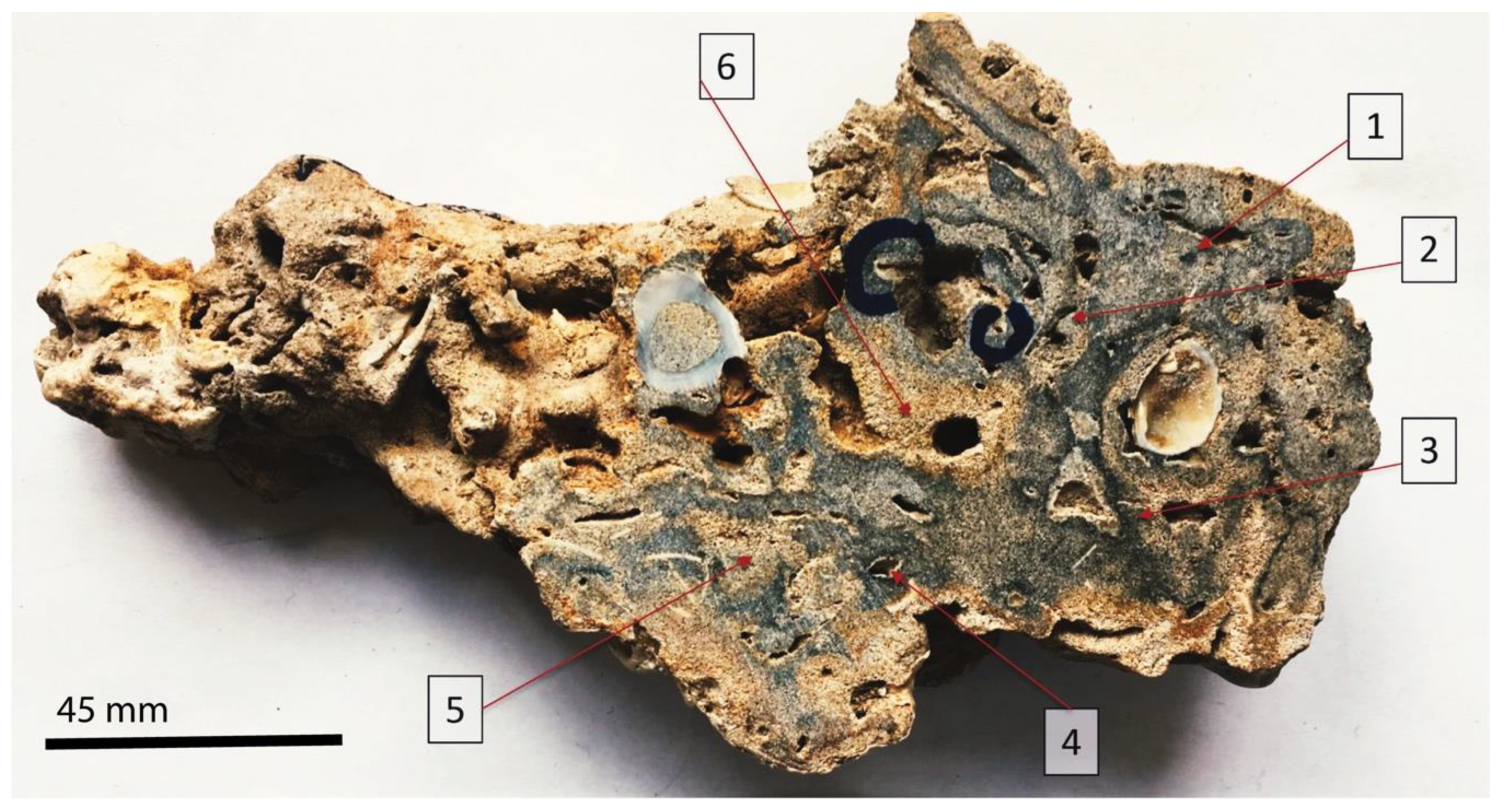 Geosciences 10 00255 g009 Geosciences 10 00255 g009