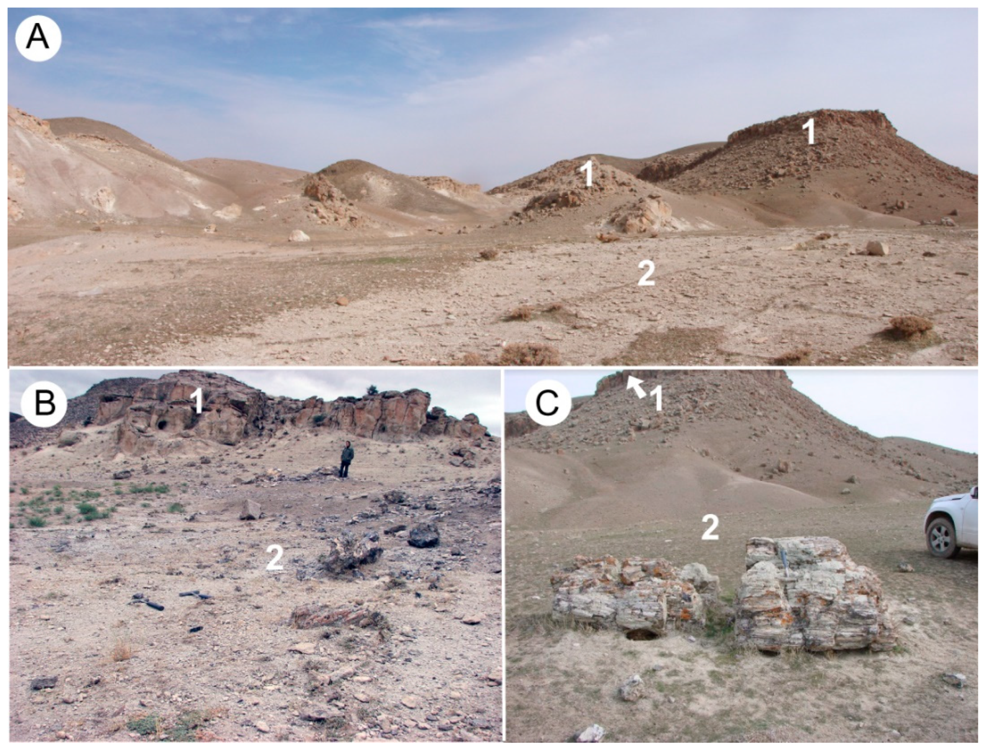 Geosciences 10 00283 g002