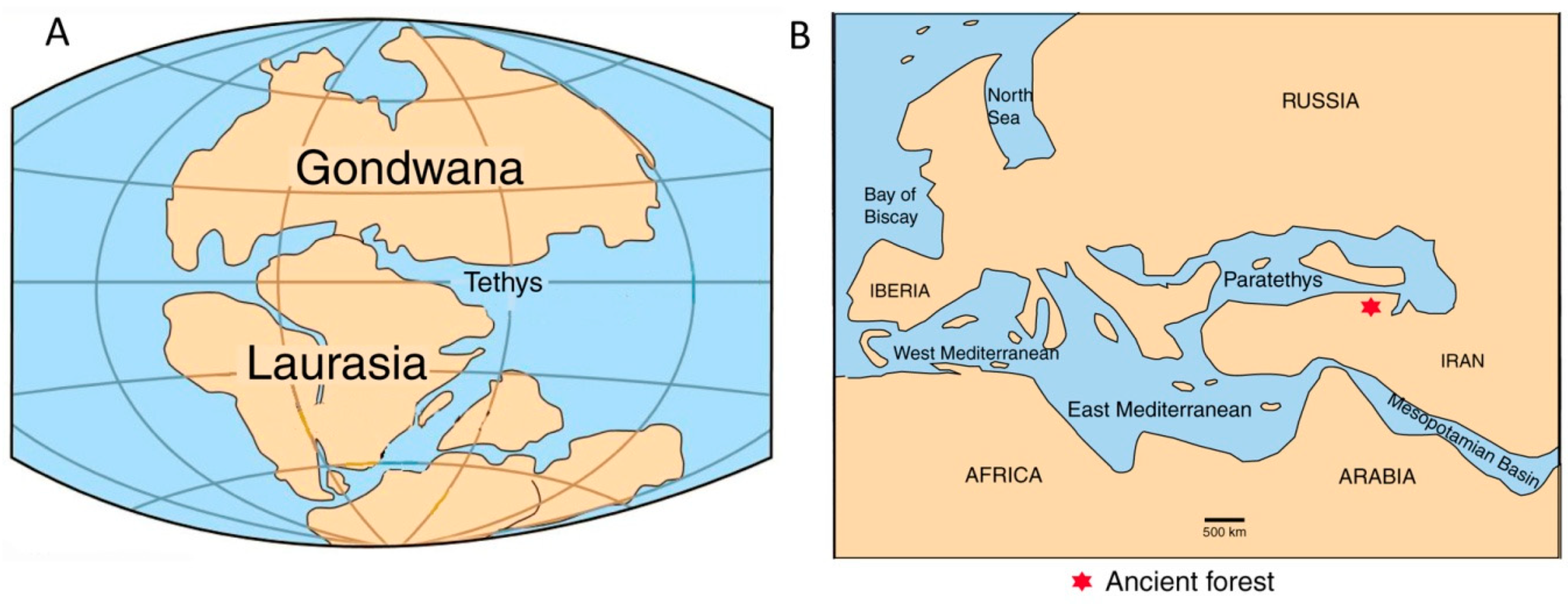 Geosciences 10 00283 g005
