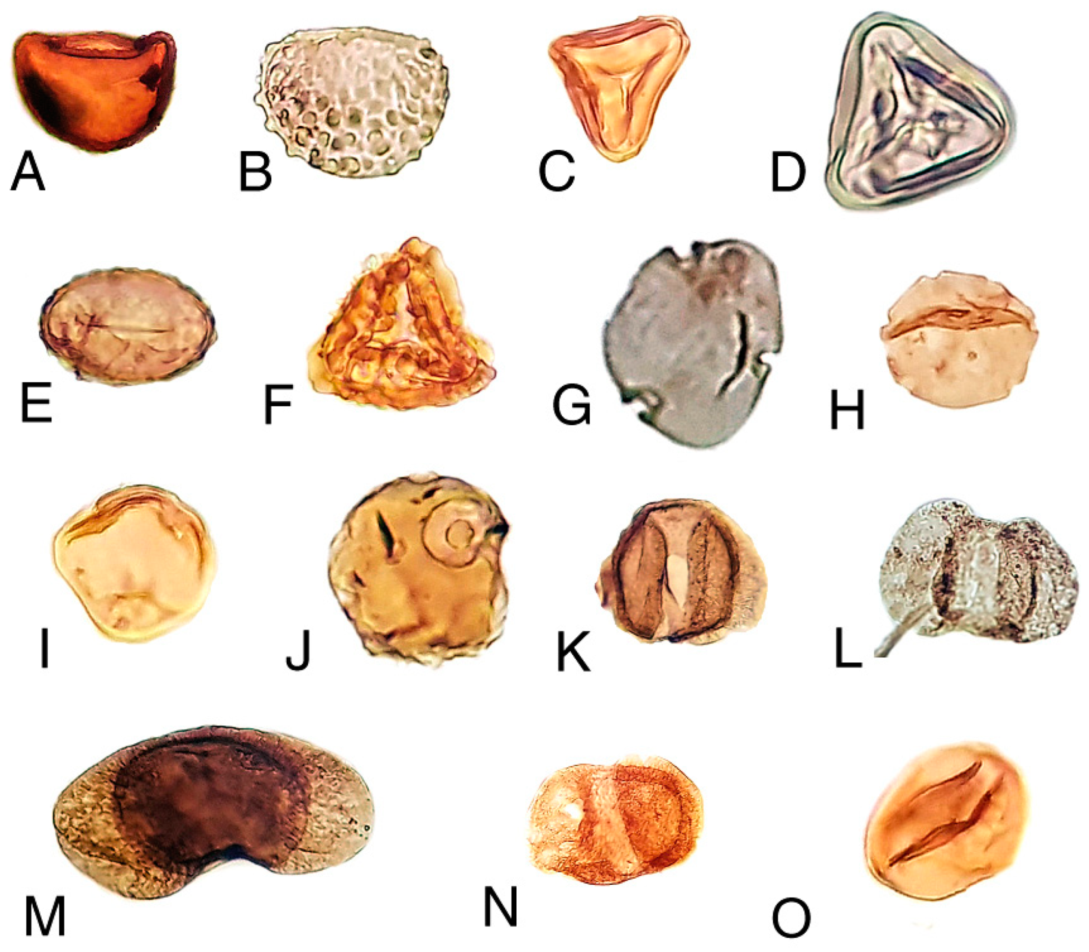 Geosciences 10 00283 g007