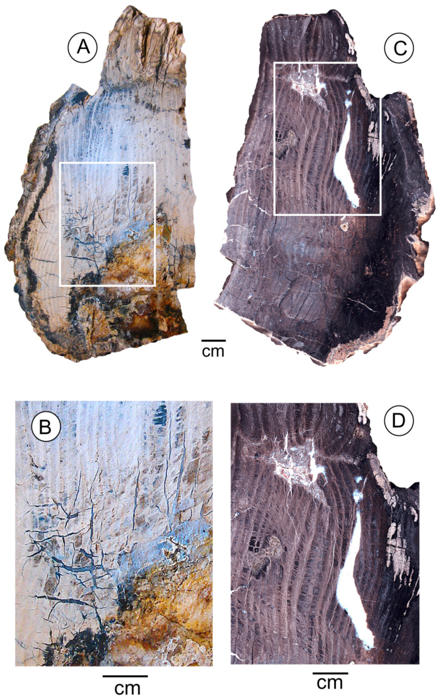 Geosciences 10 00283 g014