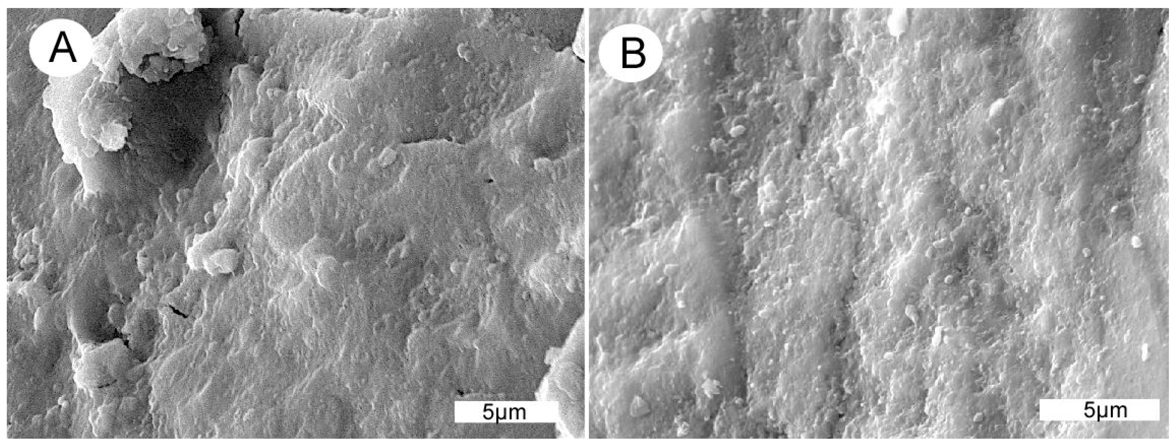 Geosciences 10 00283 g017