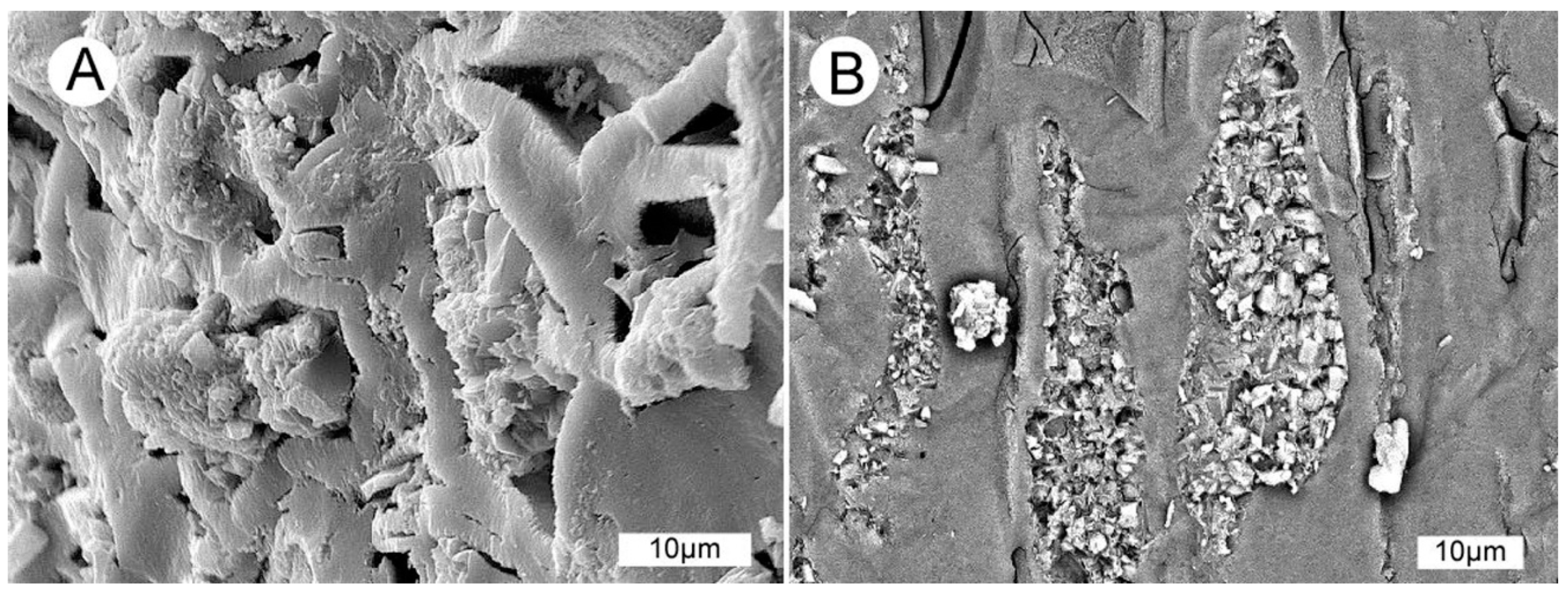 Geosciences 10 00283 g021