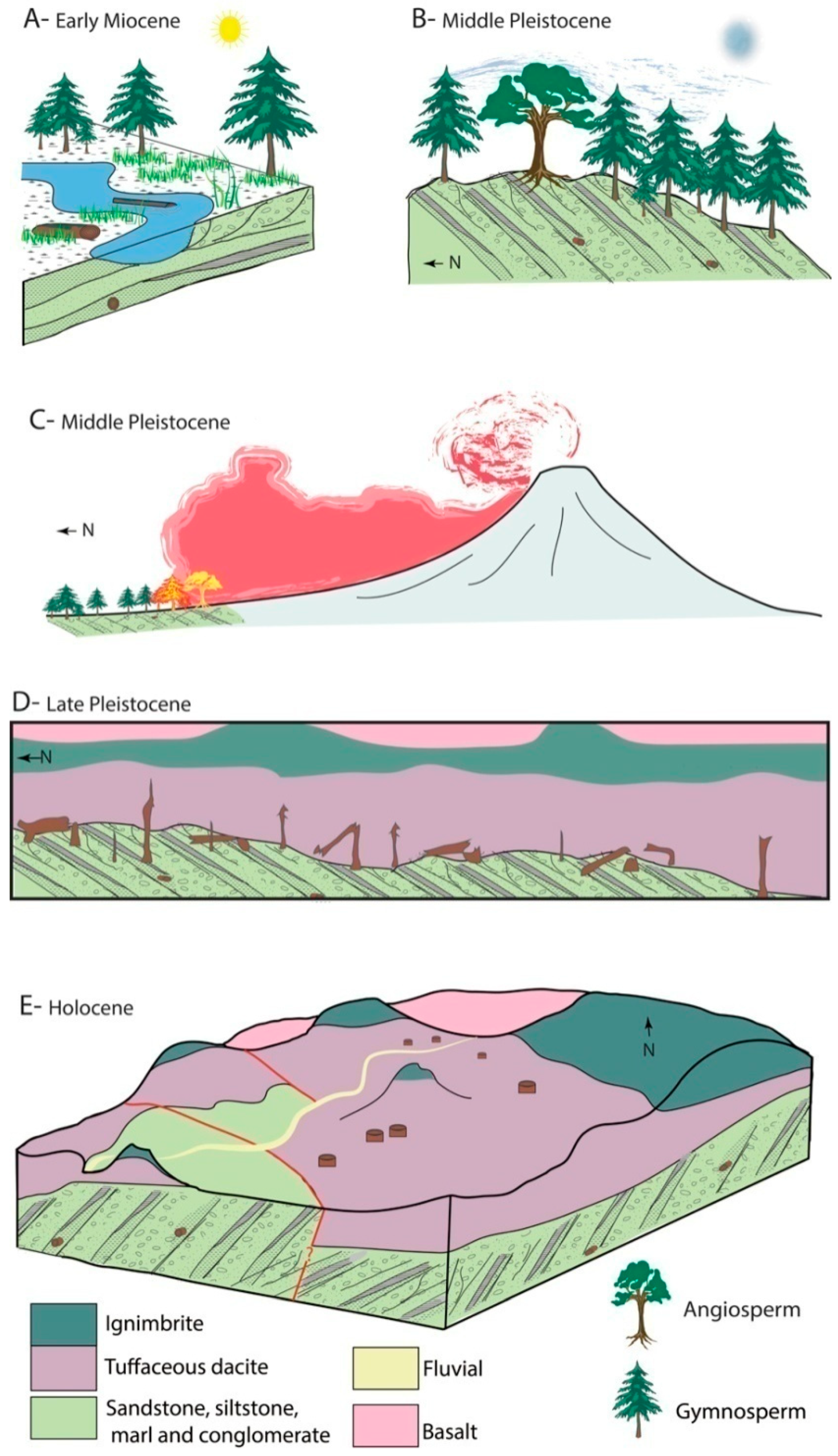 Geosciences 10 00283 g023