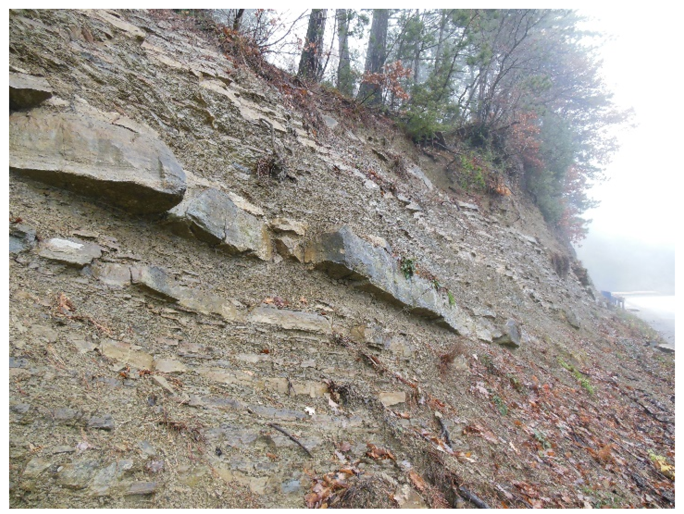 Geosciences 10 00294 g002 Geosciences 10 00294 g002