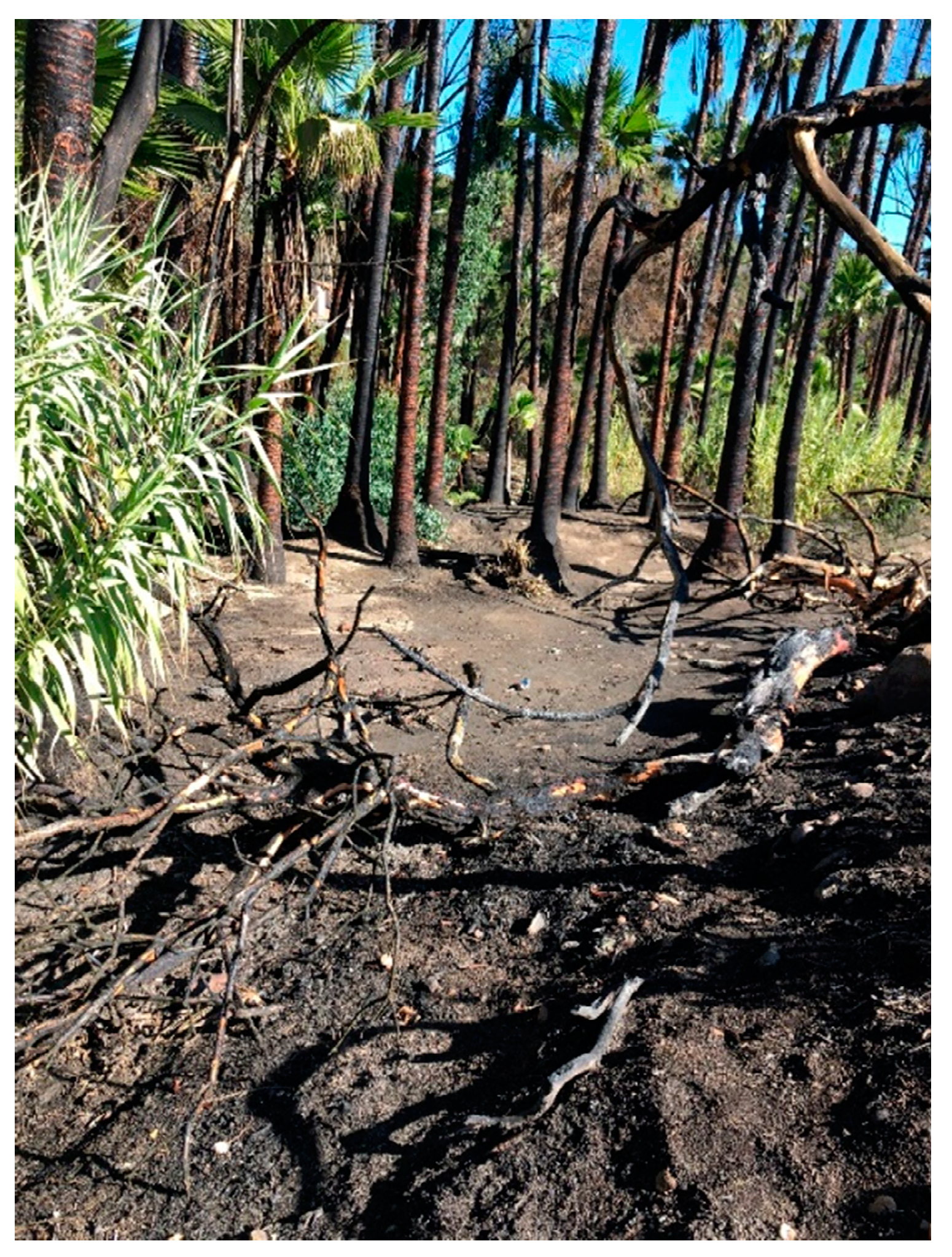 Geosciences 10 00317 g001