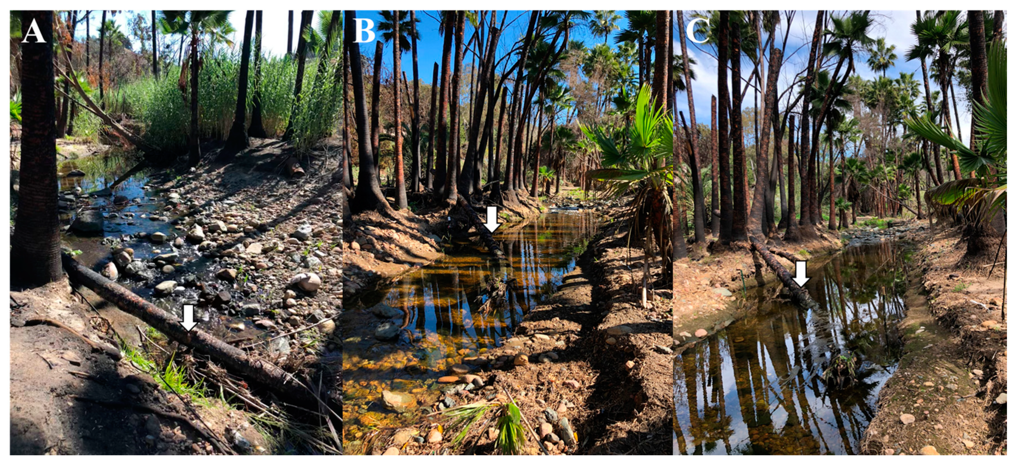 Geosciences 10 00317 g009