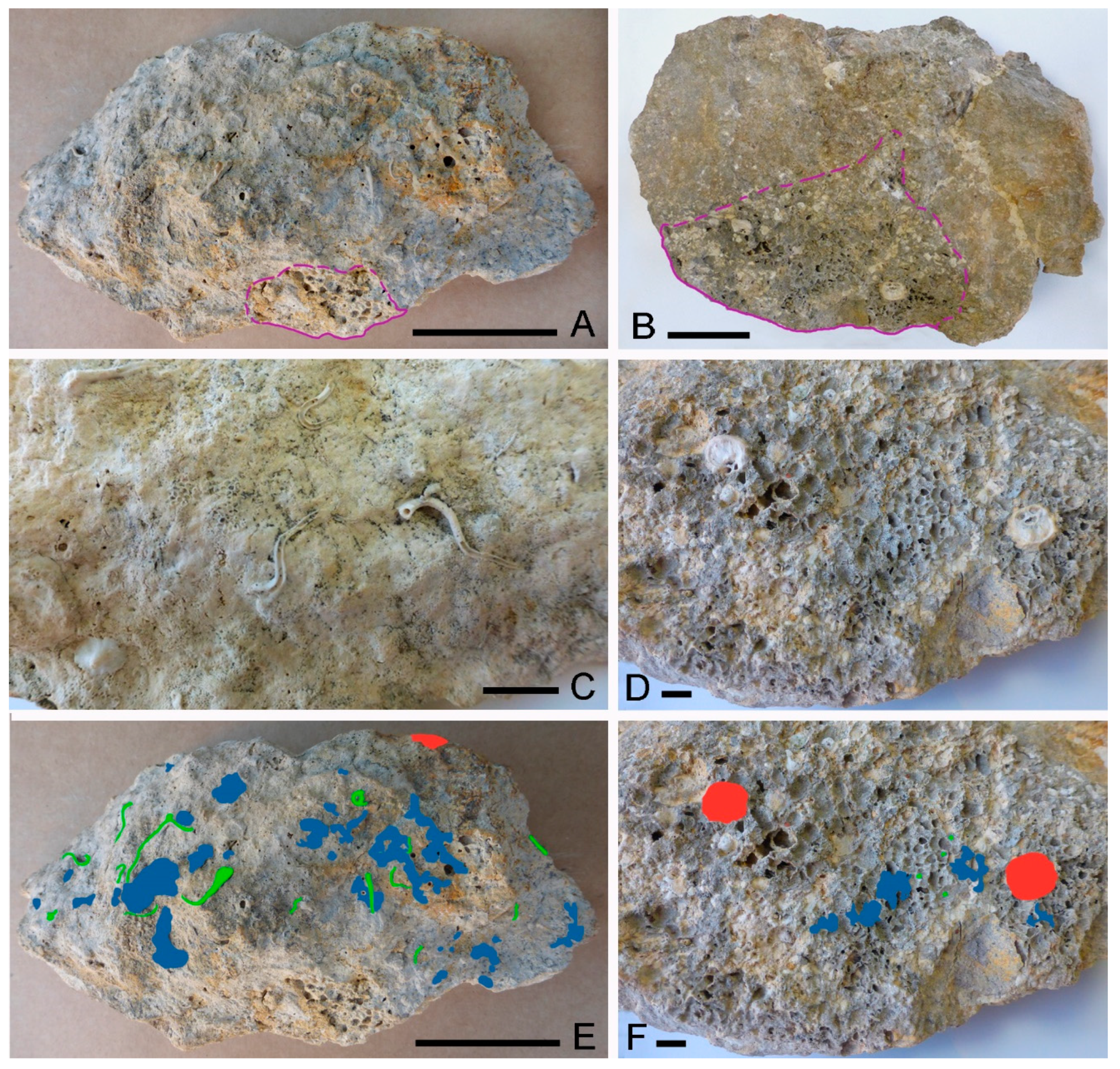 Geosciences 10 00343 g003