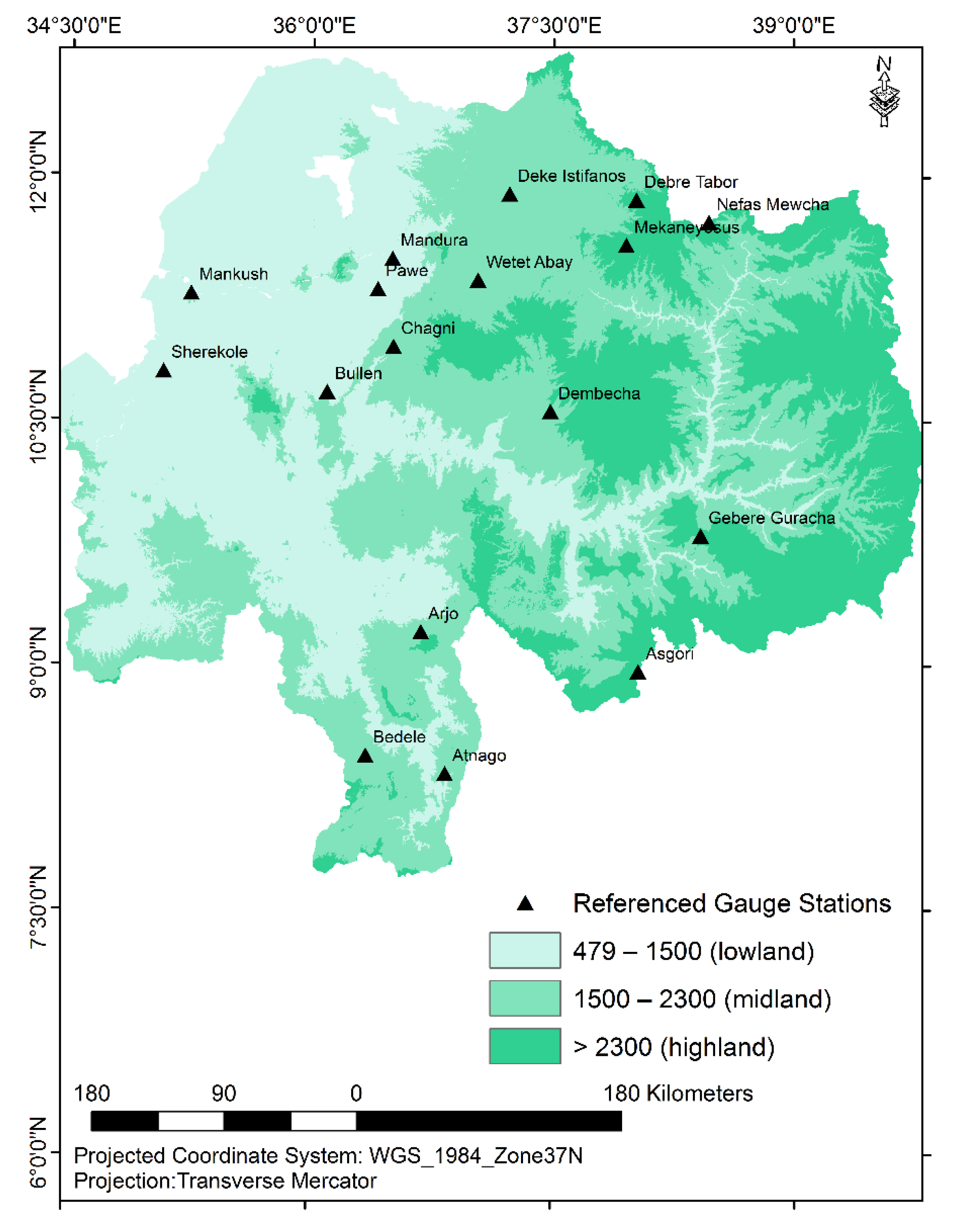 blue nile case analysis summary