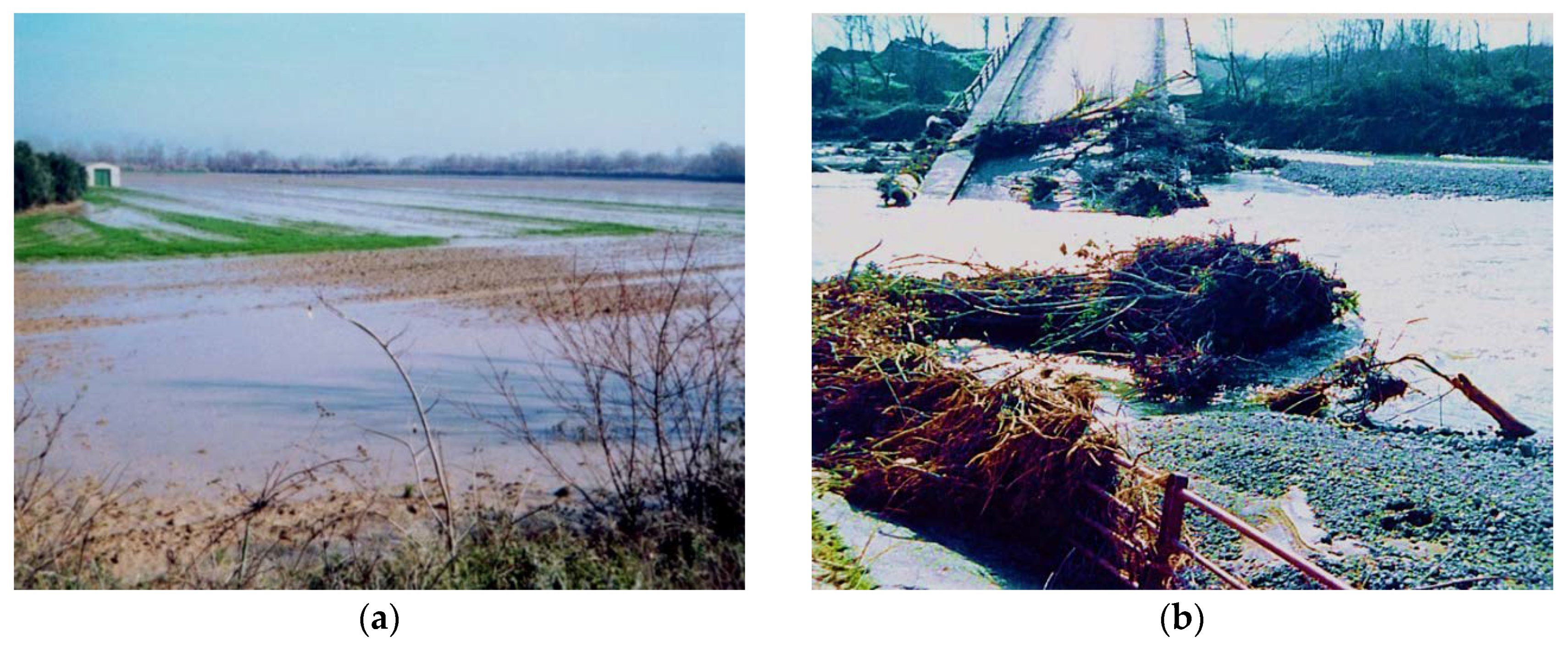 Geosciences 10 00377 g011