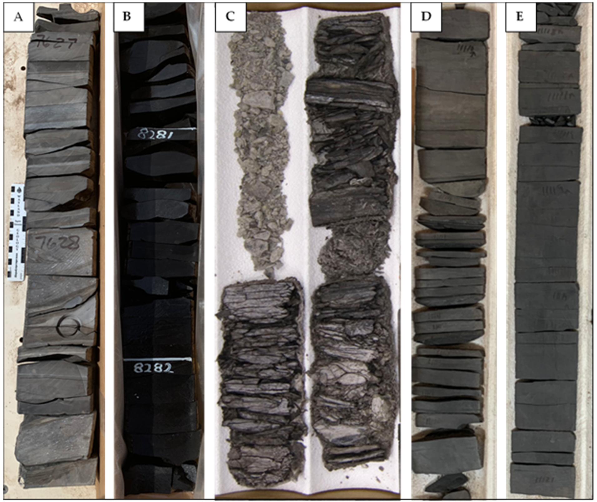 Geosciences 10 00381 g005 Geosciences 10 00381 g005