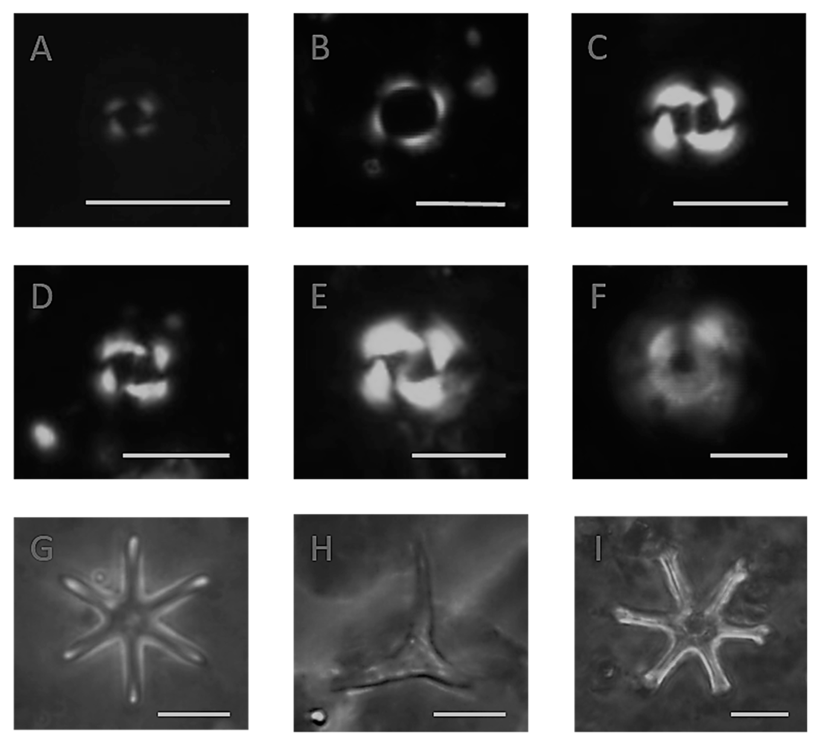 Geosciences 10 00388 g004 Geosciences 10 00388 g004