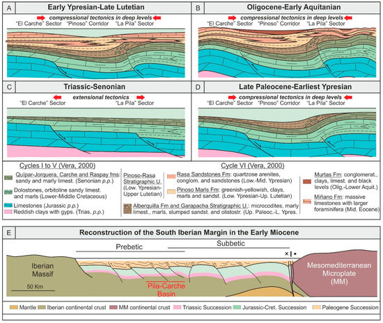 Tectono-Sedimentary Evolution of the Cenozoic Basins in the