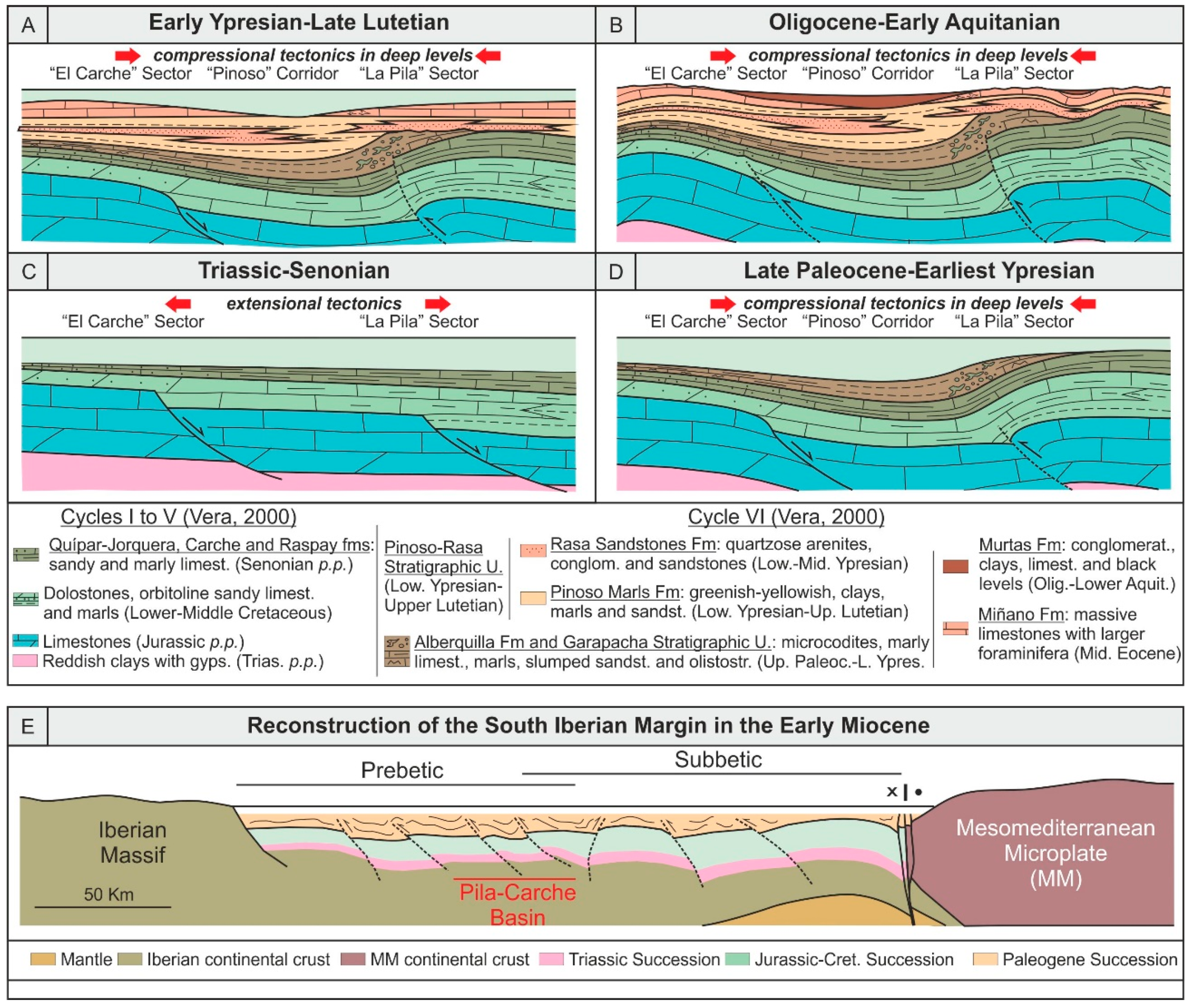 Tectono-Sedimentary Evolution of the Cenozoic Basins in the