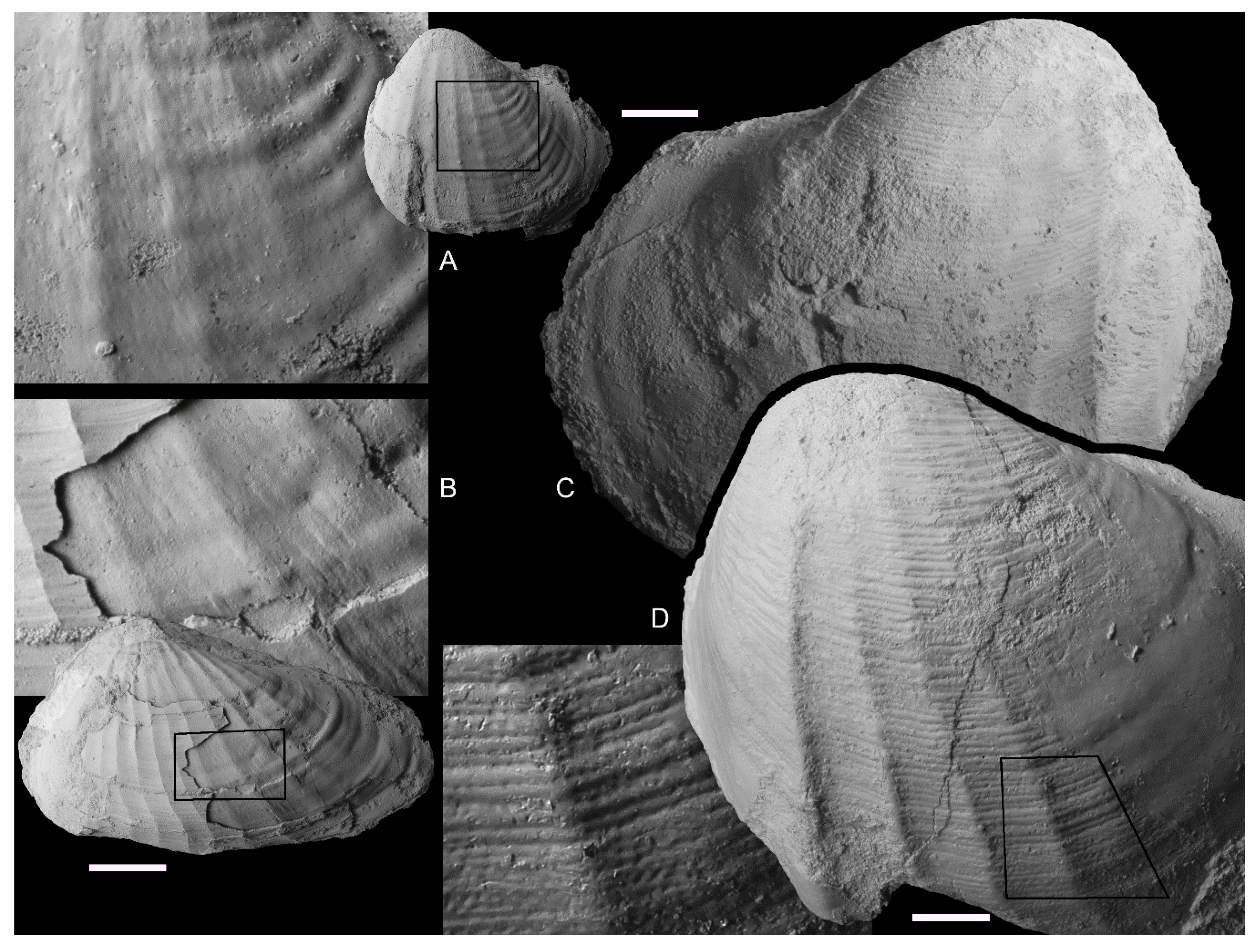 Geosciences 10 00397 g003