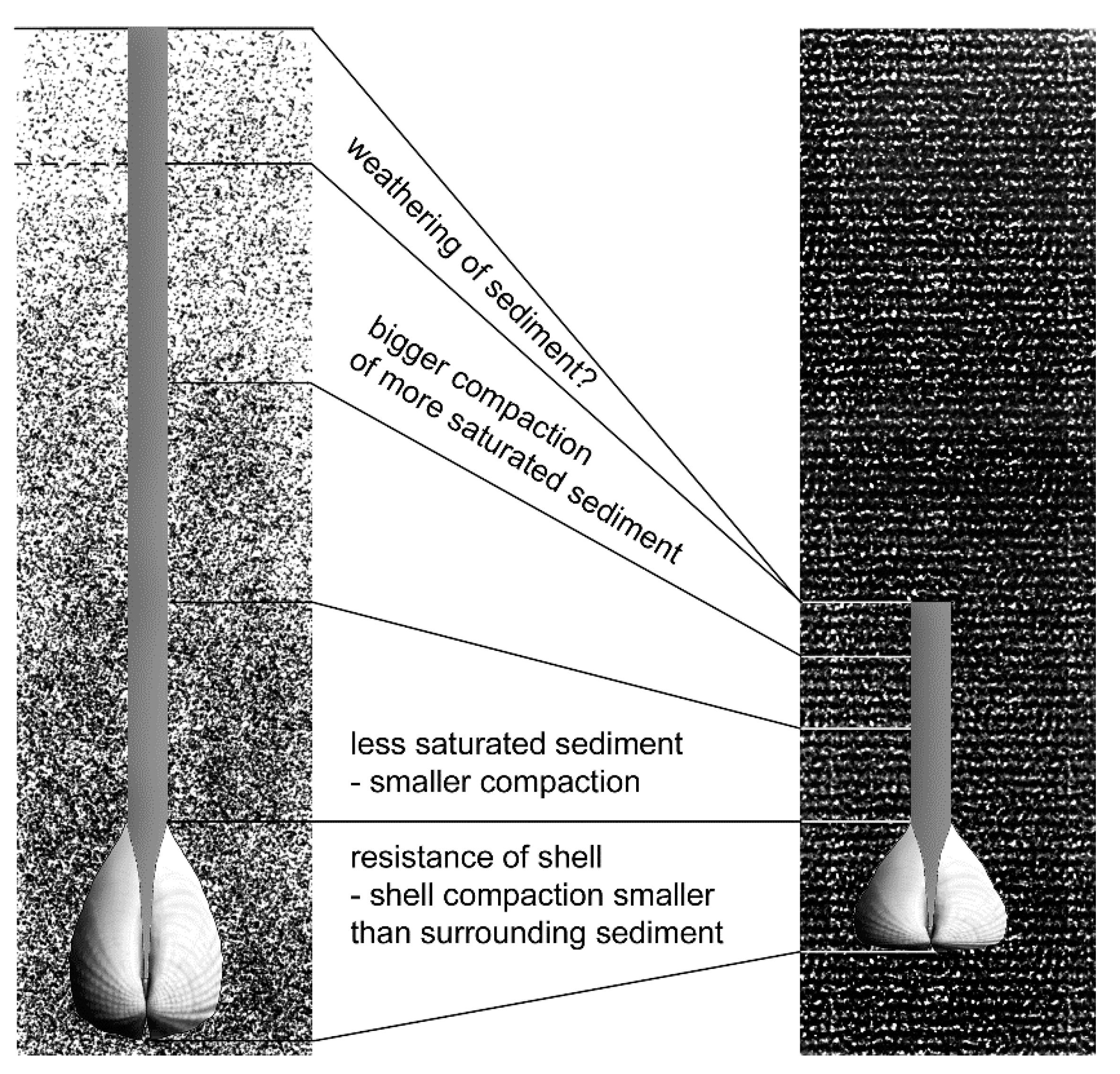 Geosciences 10 00397 g005
