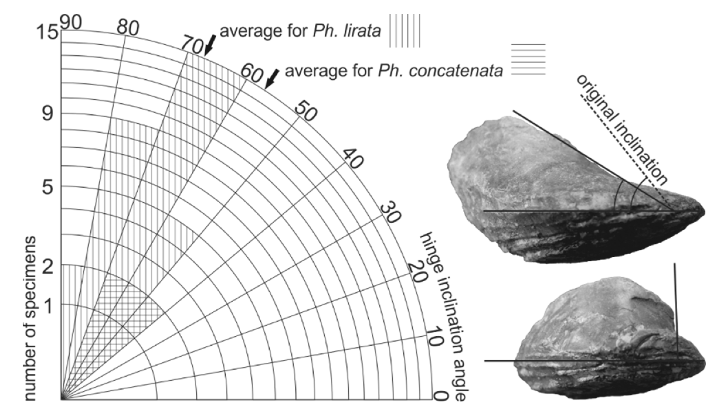 Geosciences 10 00397 g007