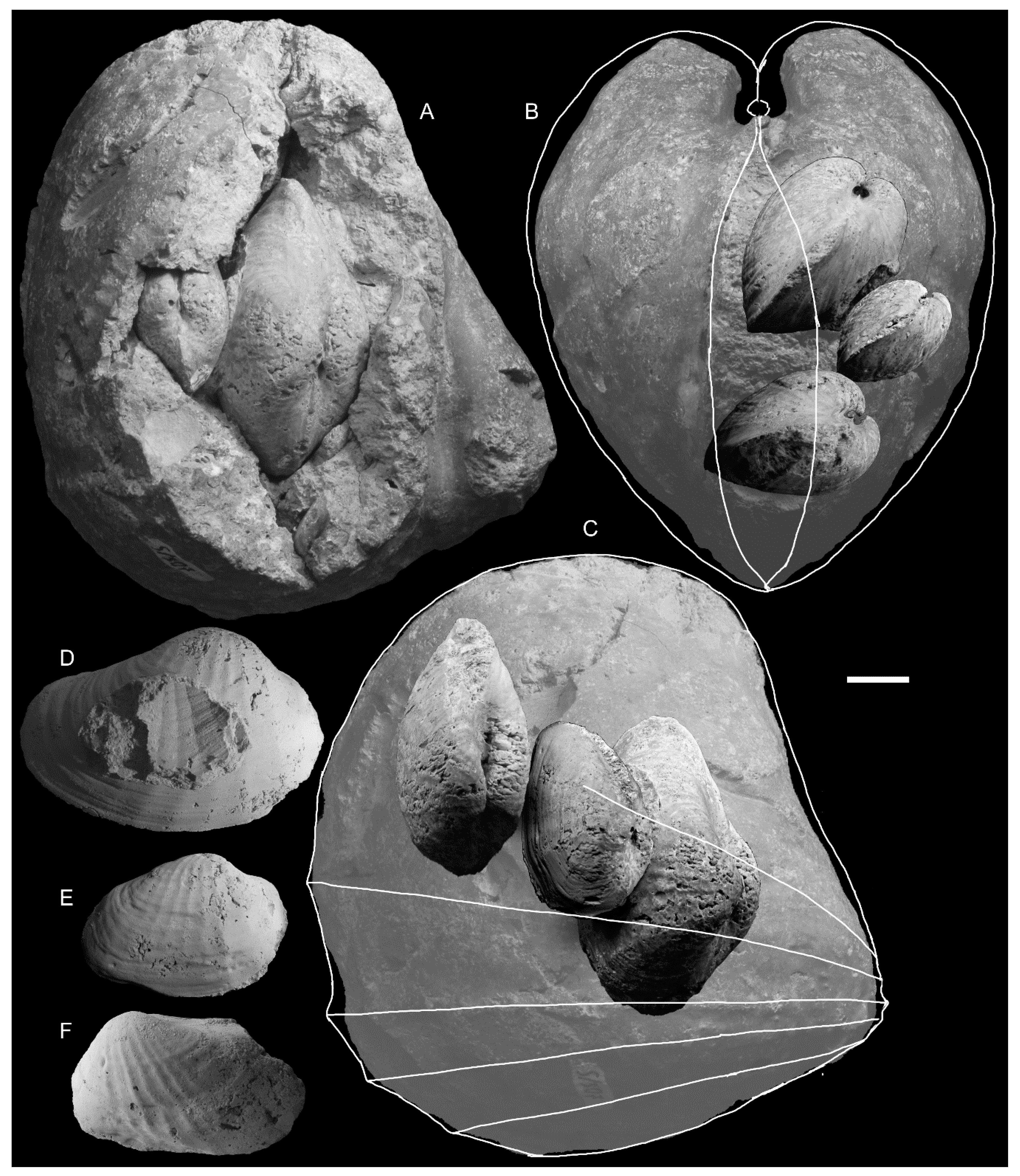 Geosciences 10 00397 g009