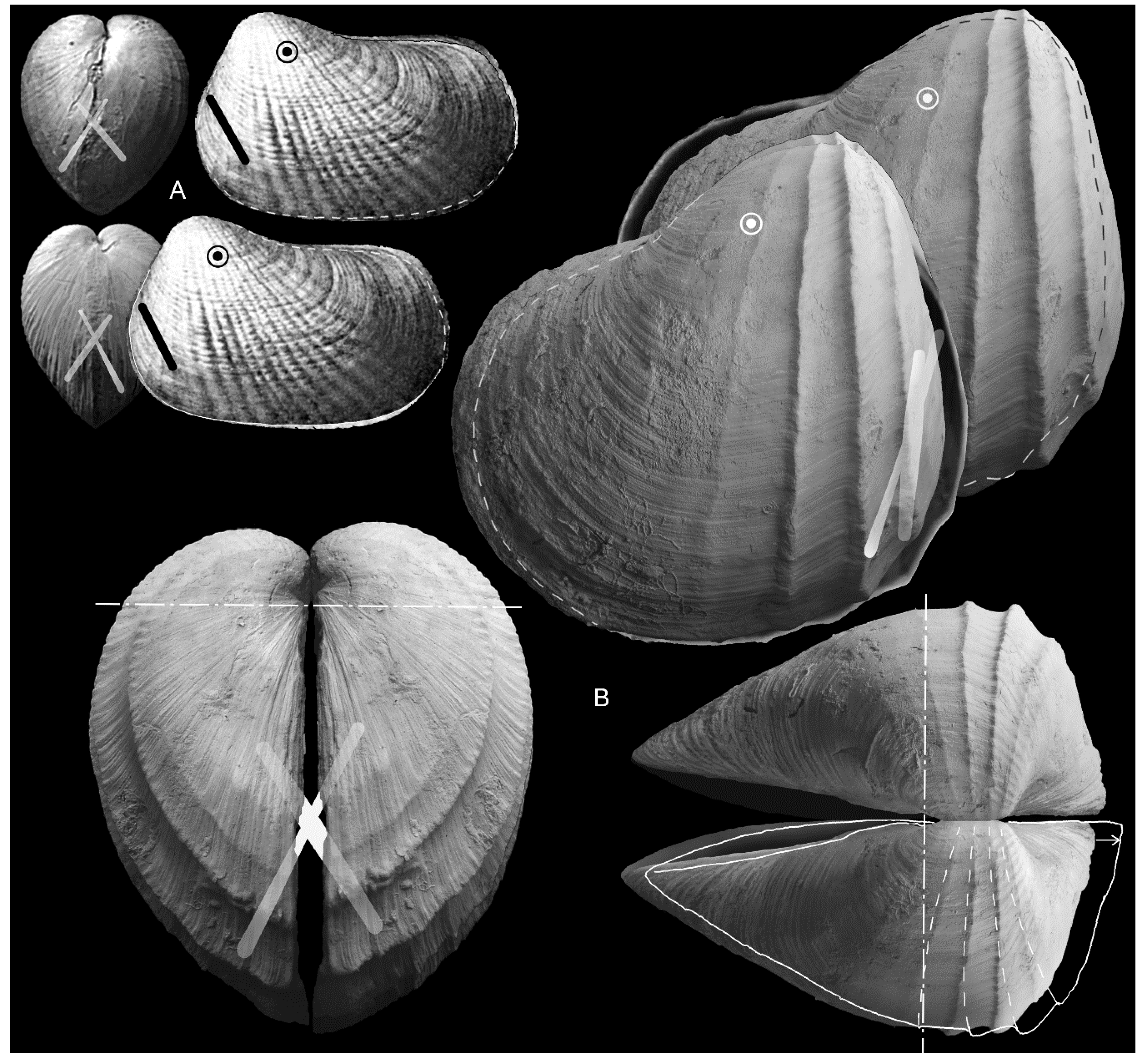 Geosciences 10 00397 g010