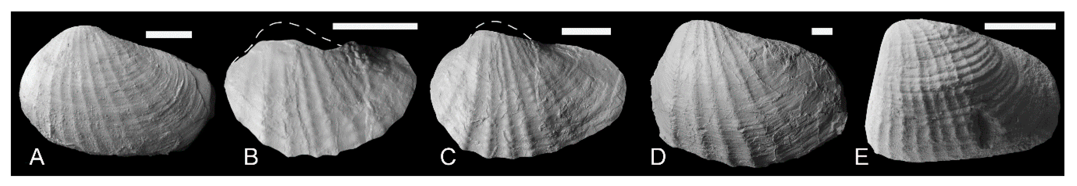 Geosciences 10 00397 g012