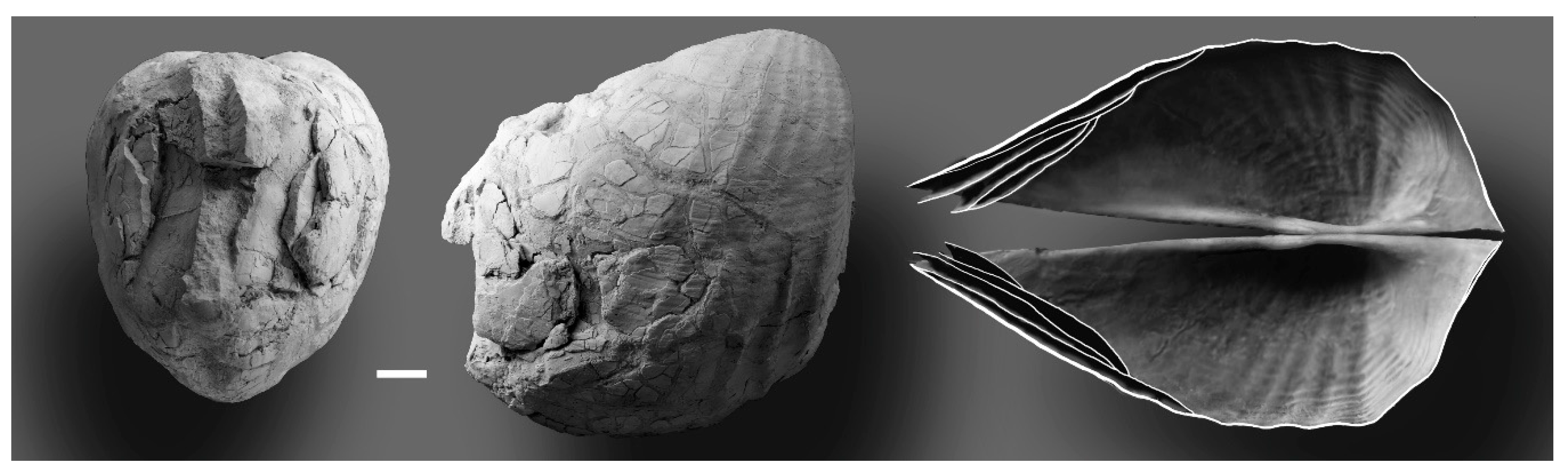 Geosciences 10 00397 g014