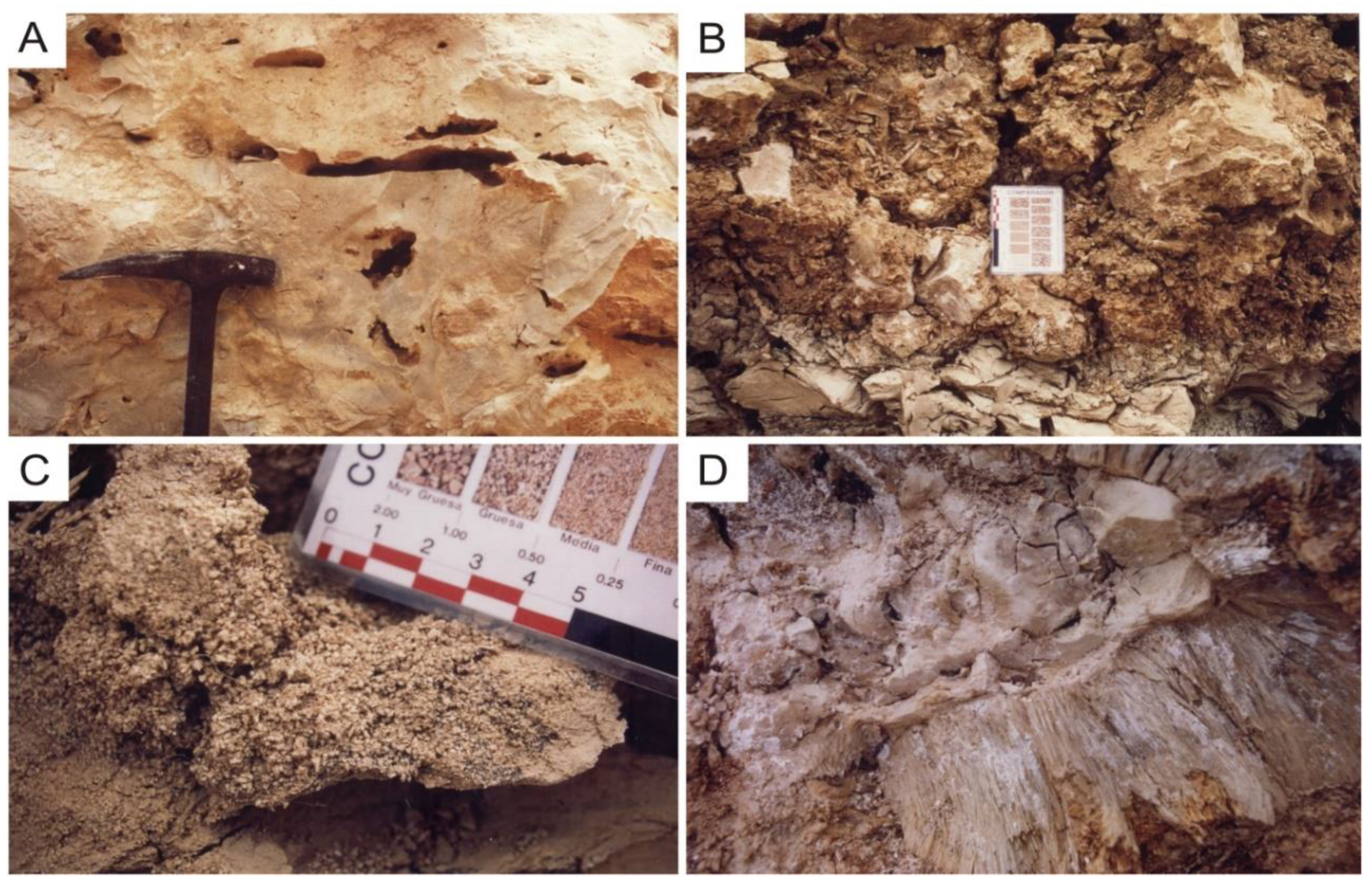 Geosciences 10 00433 g005 Geosciences 10 00433 g005