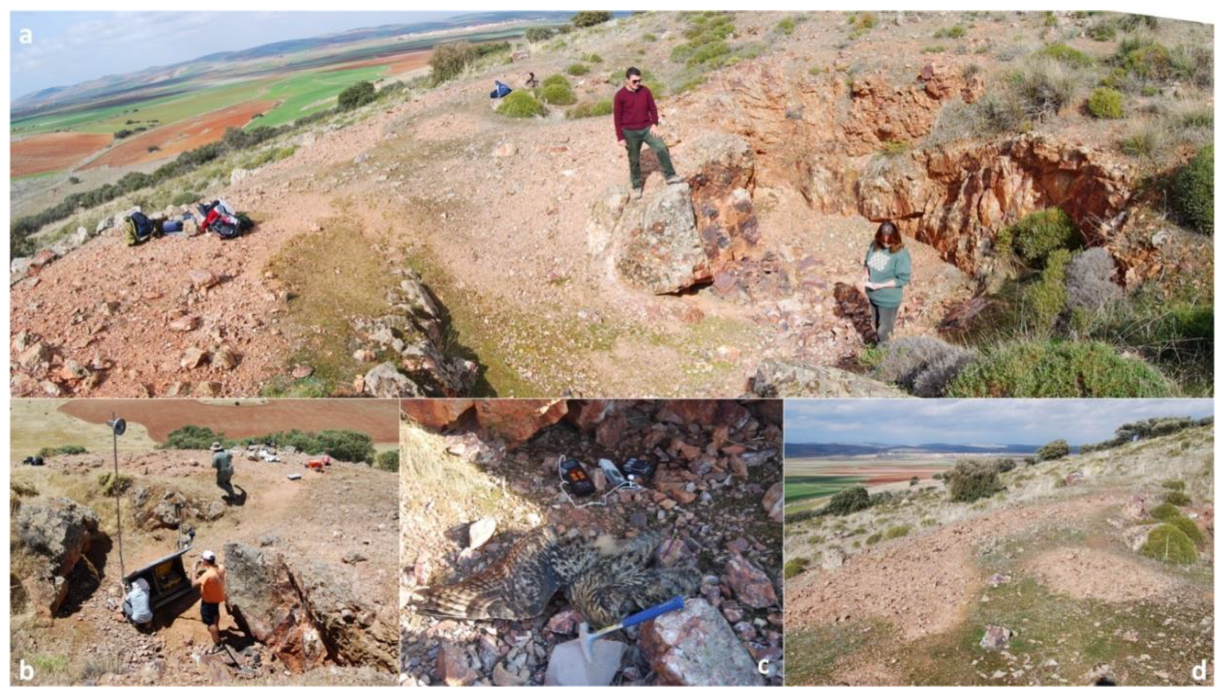 Geosciences 10 00441 g008